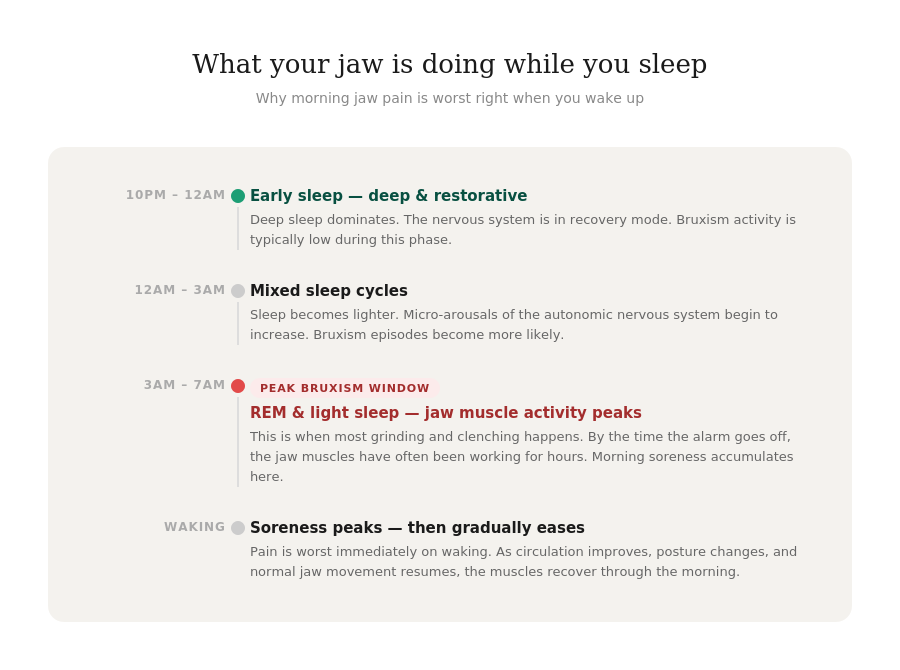 Timeline showing when bruxism and jaw grinding peaks during sleep overnight