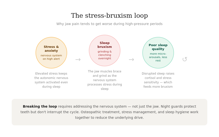 The stress bruxism loop — how stress causes teeth grinding which disrupts sleep