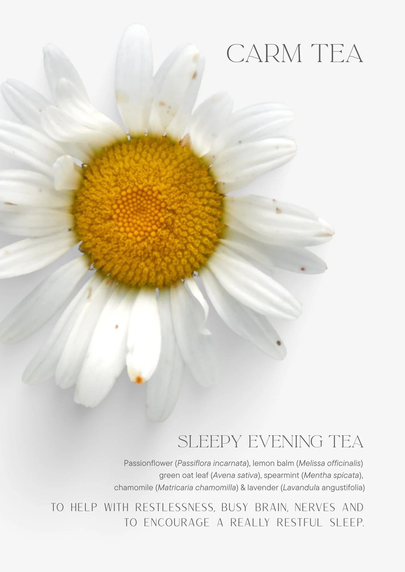 CARM SLEEPY TEA FRONT.jpg