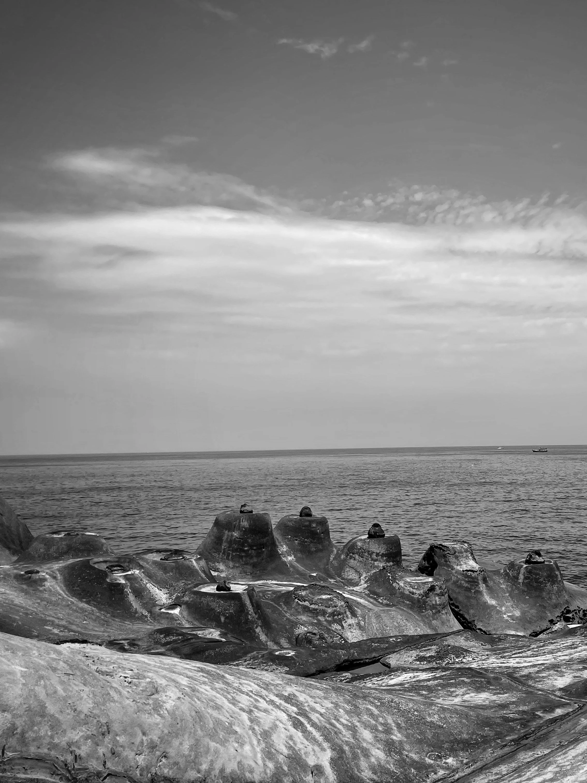 IMG_6500.jpeg