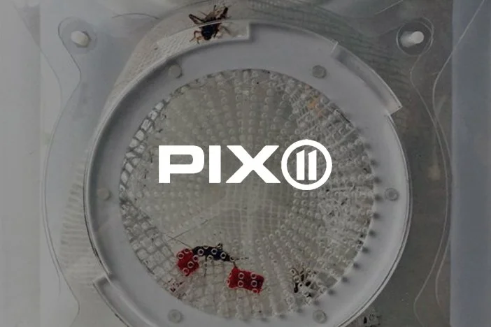 Pix 11: Futuristic Cricket Farm In Brooklyn Navy Yard