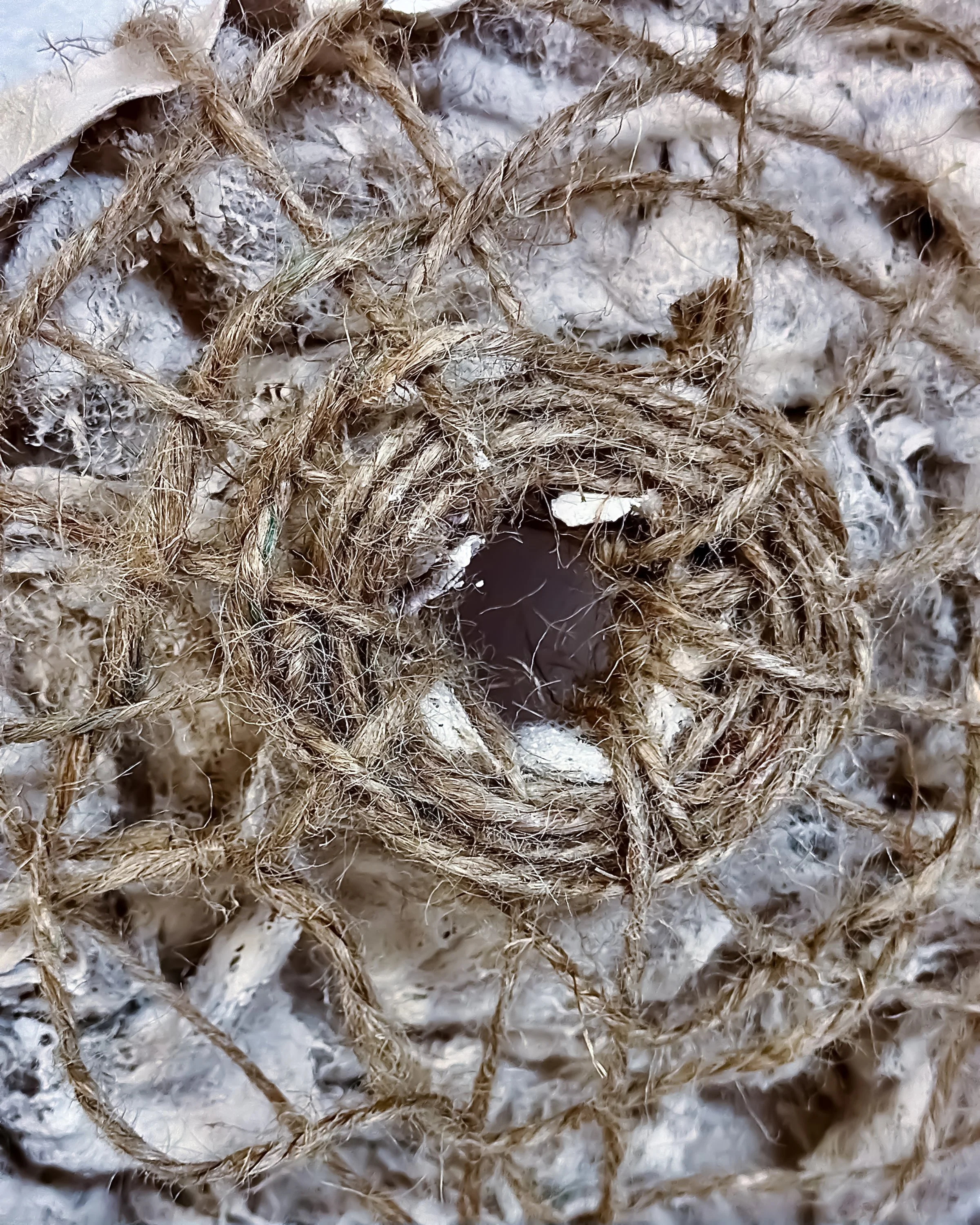 "Necrosis" - Detail |
Cast Linen, Twine, Polyfil, and Clay Slip |
Fall 2023