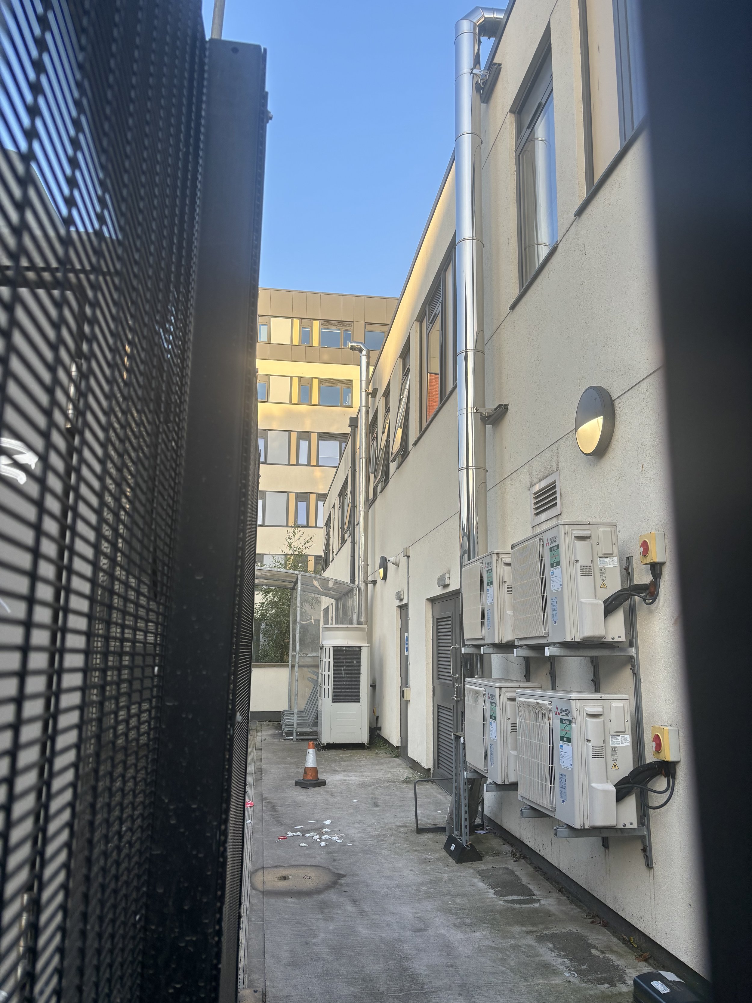 IMG_2386.jpeg