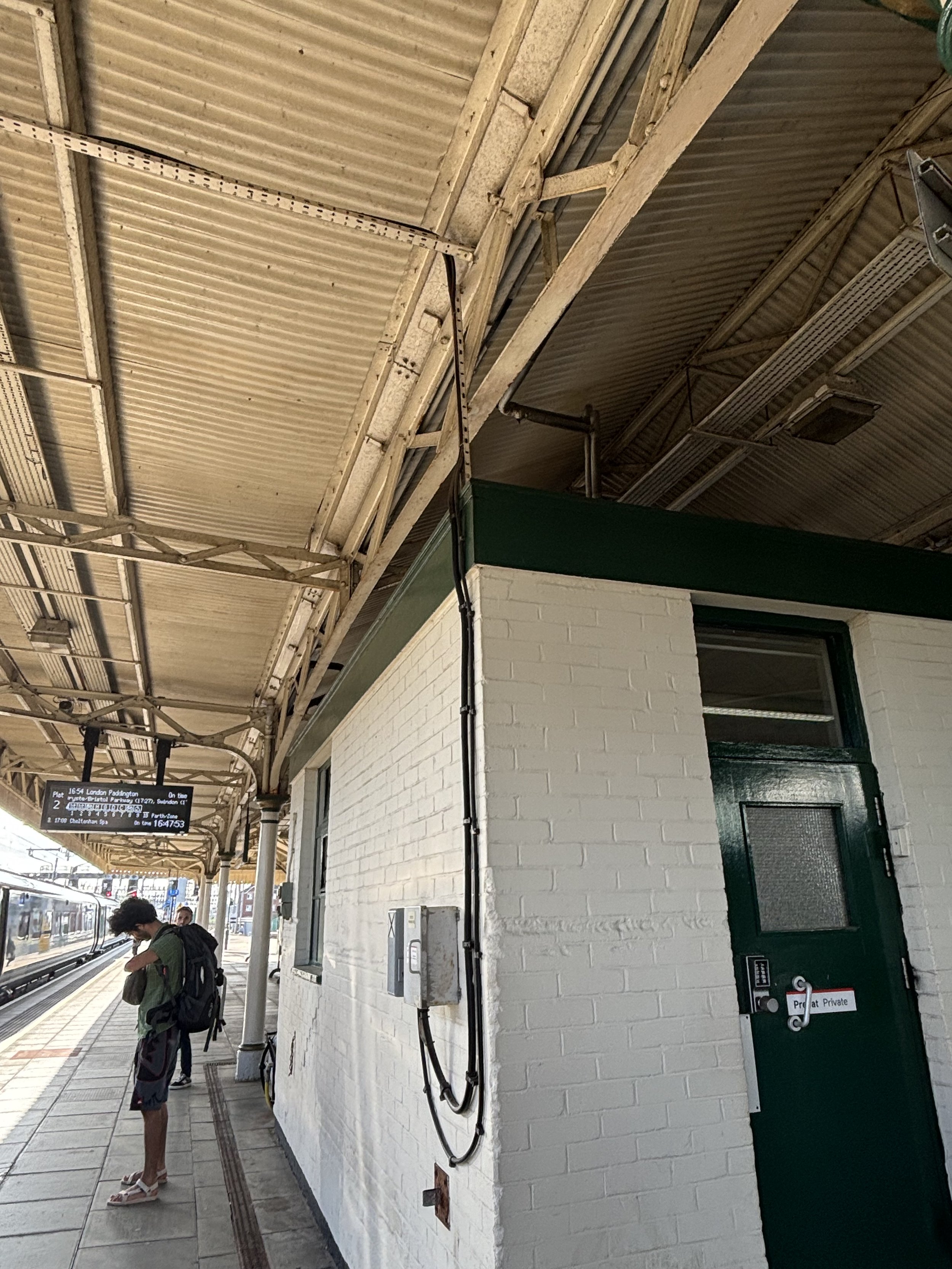 IMG_2375.jpeg