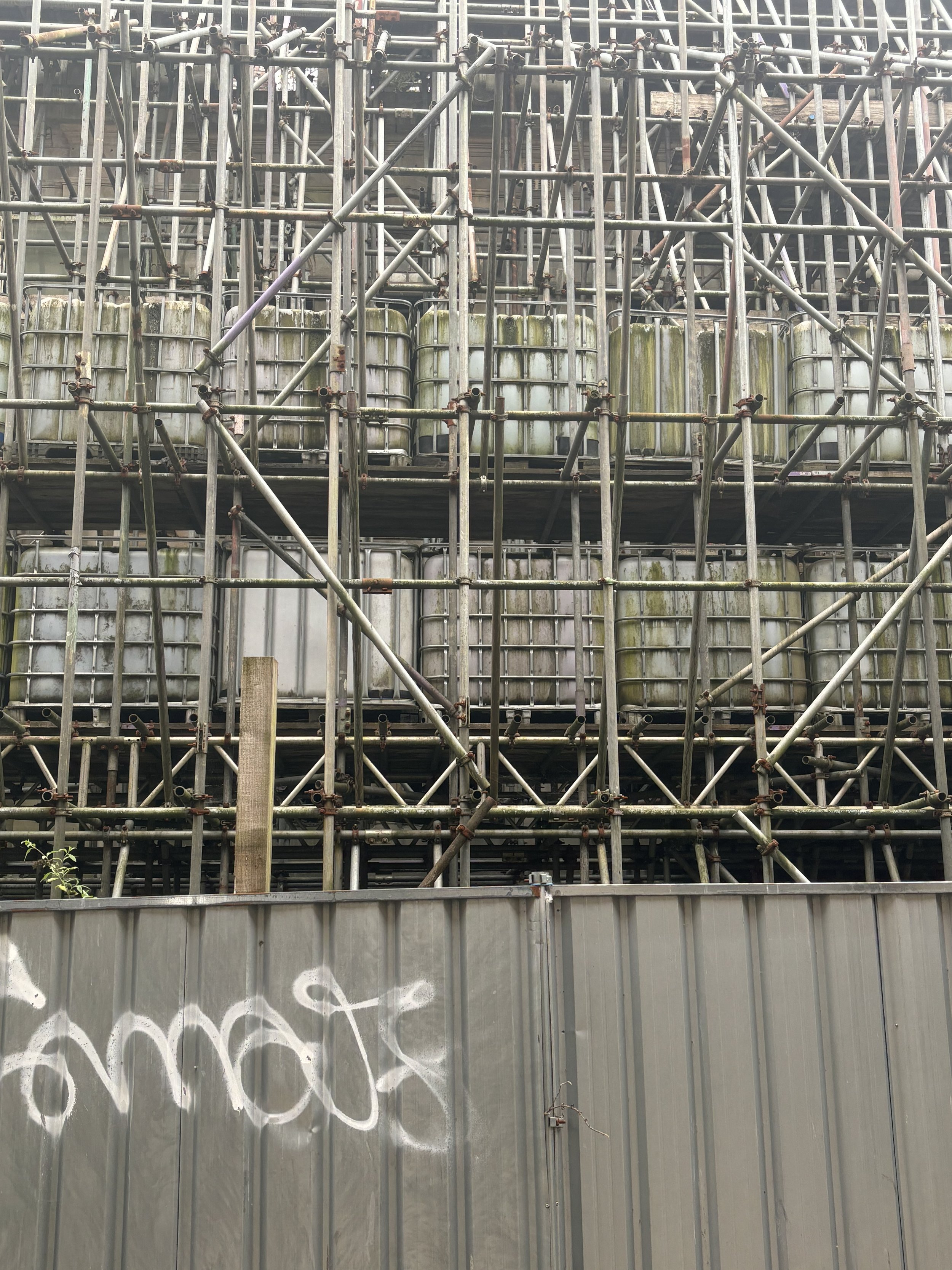 IMG_2142.jpeg