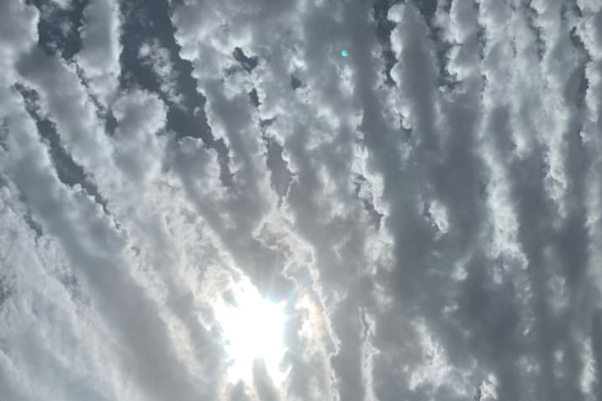 112-1165.jpg