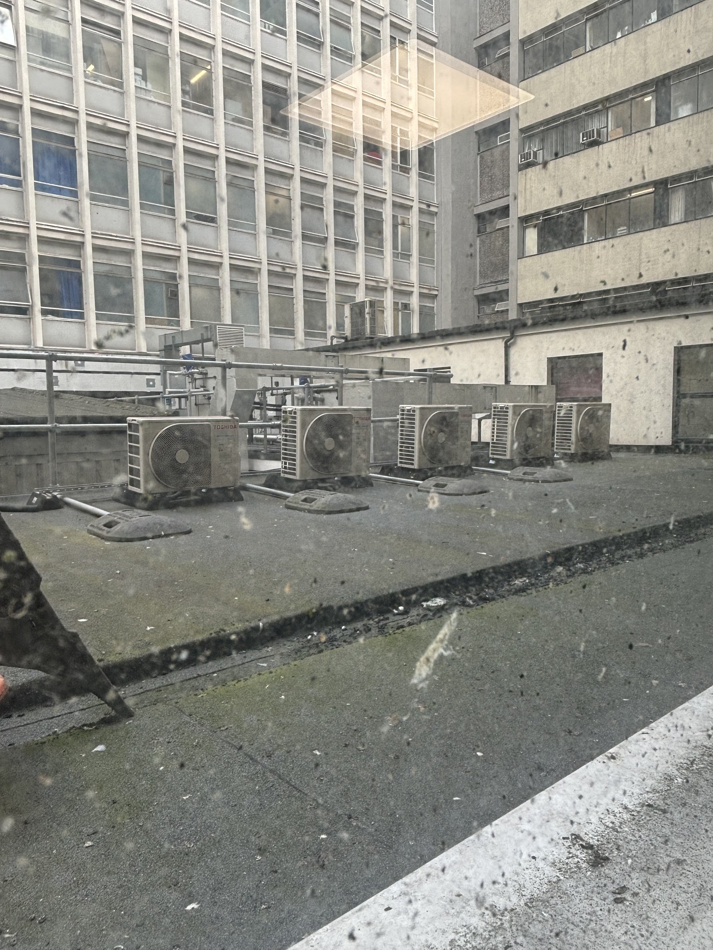 IMG_2348.jpeg