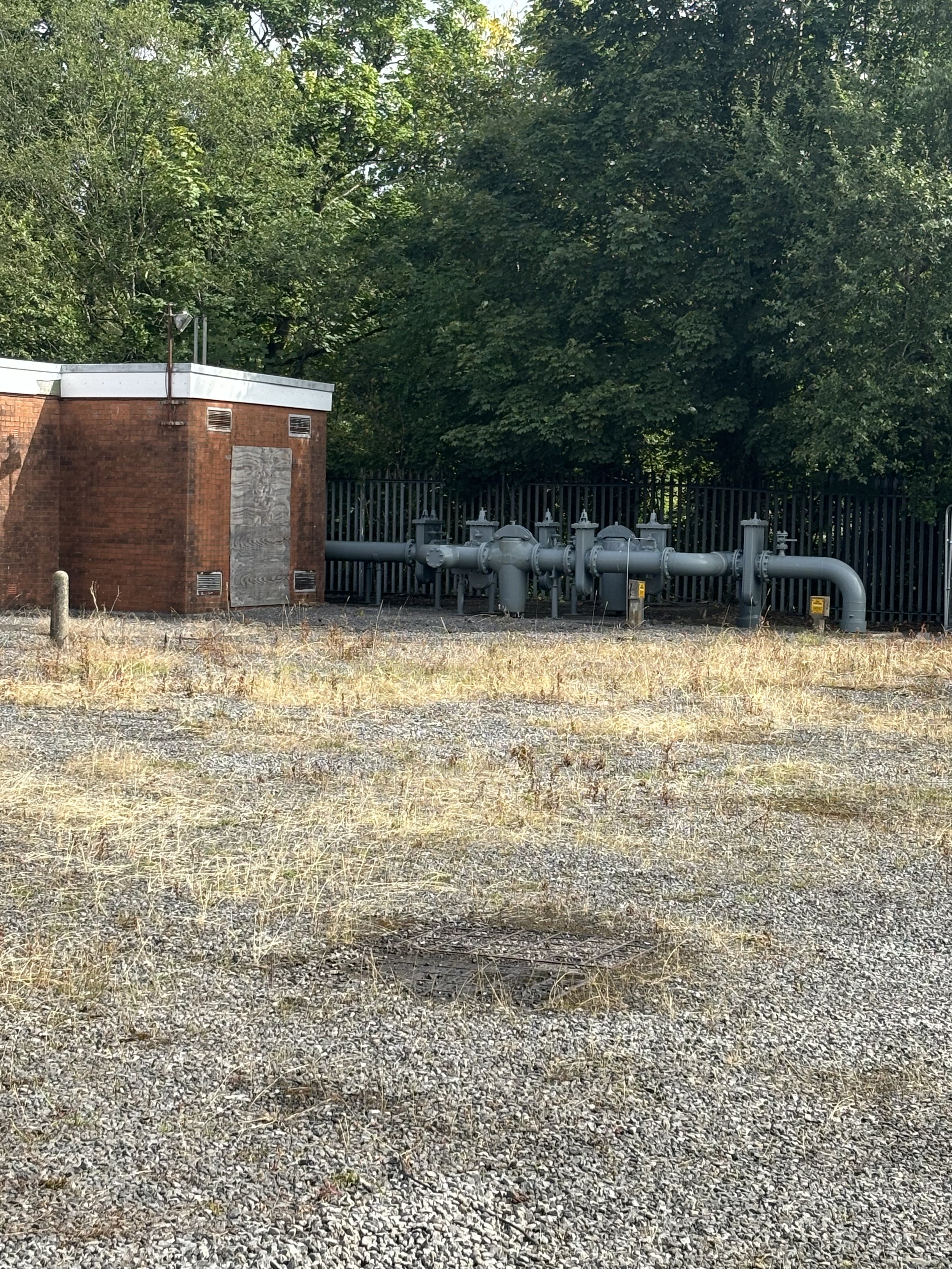 IMG_1979.jpeg