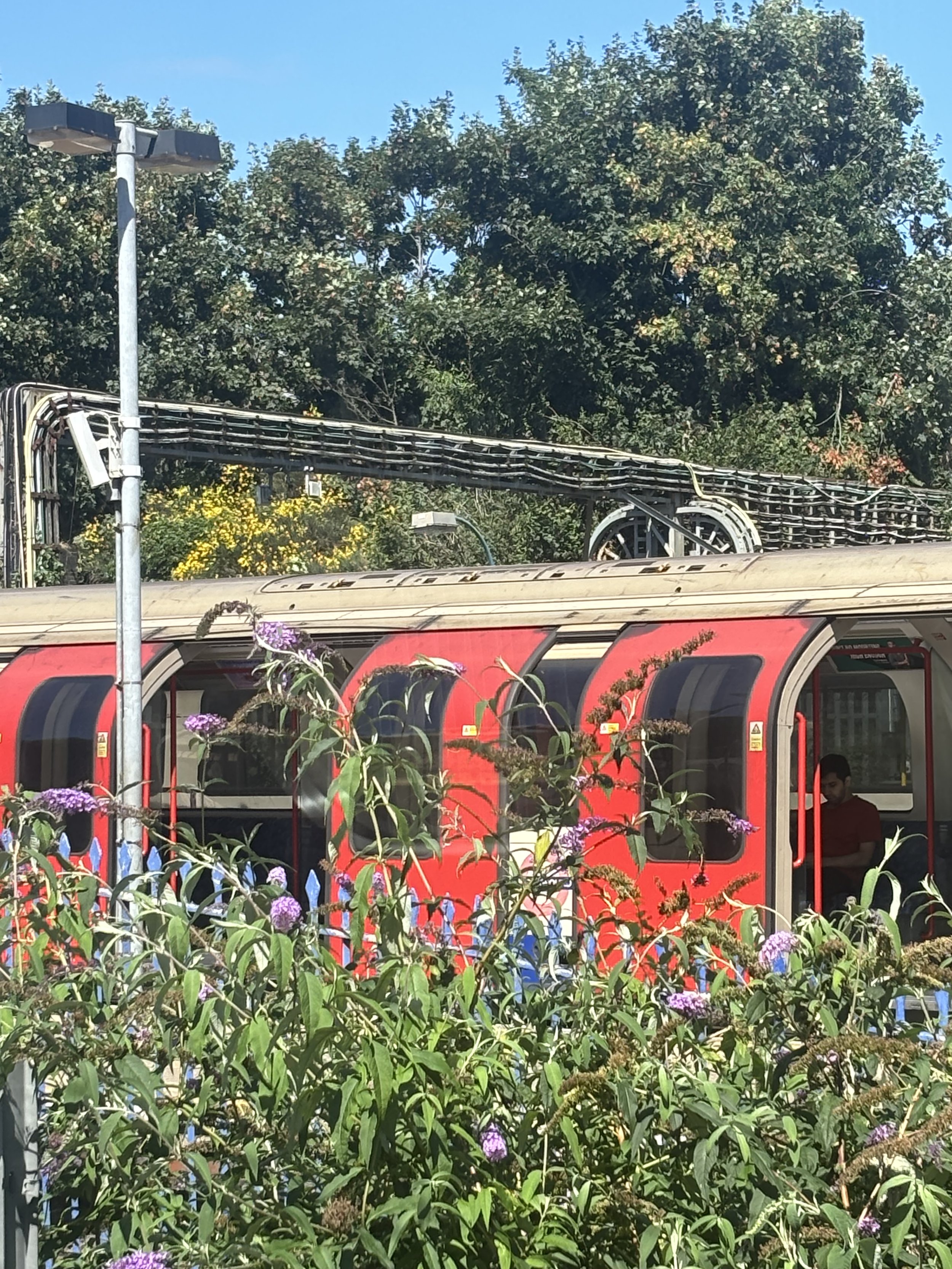 EALING. THEN ABOVE ANOTHER HUGE ARRAY OF ELECTRIC CABLES. WHAT ELSE CAN THEY BE USED FOR?