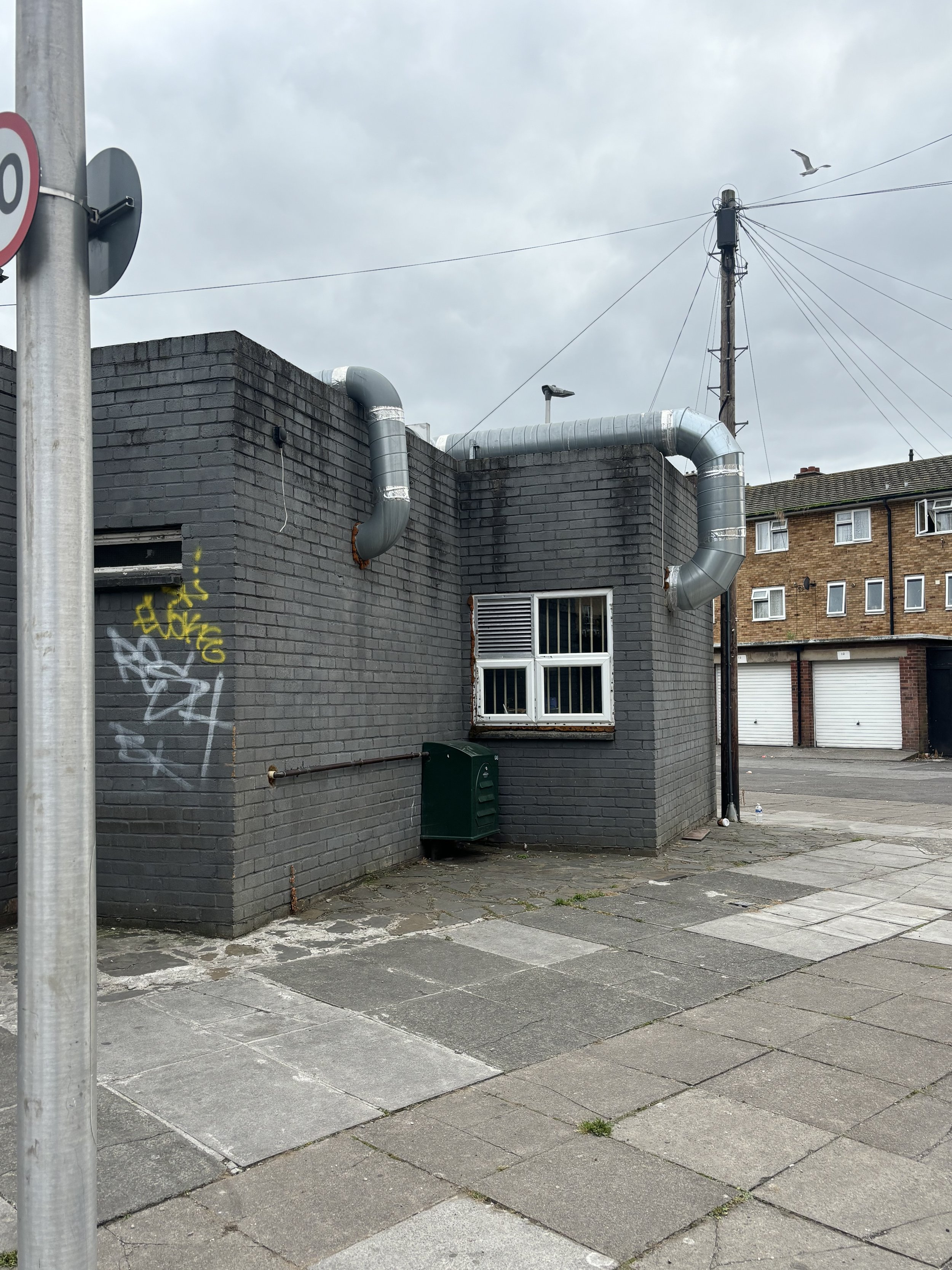 IMG_2138.jpeg