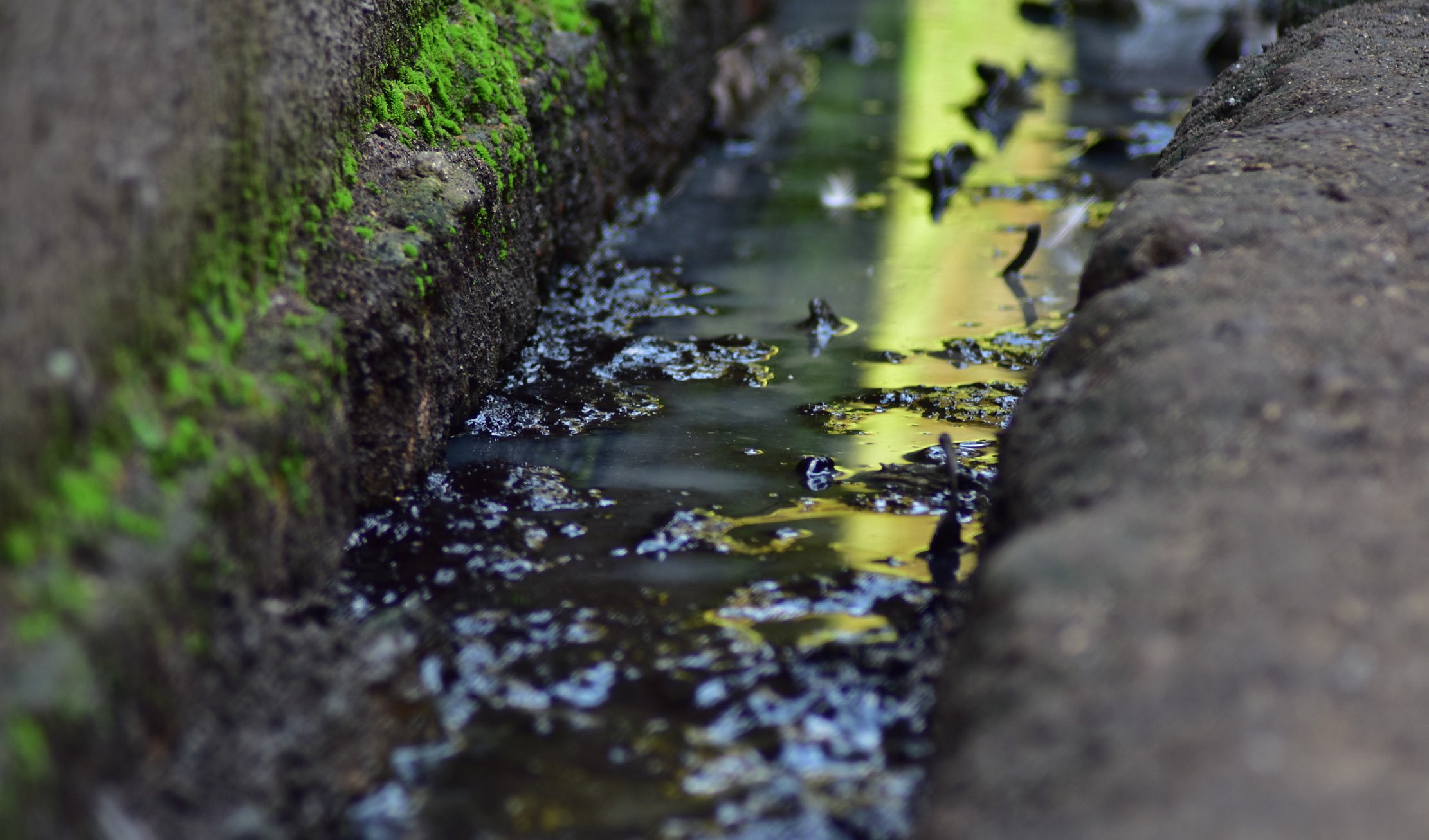 IS THE FUNNY SMELL FROM THE DRAINS EVIDENCE OF AQUAMATION ALREADY IN OUR SEWERS?