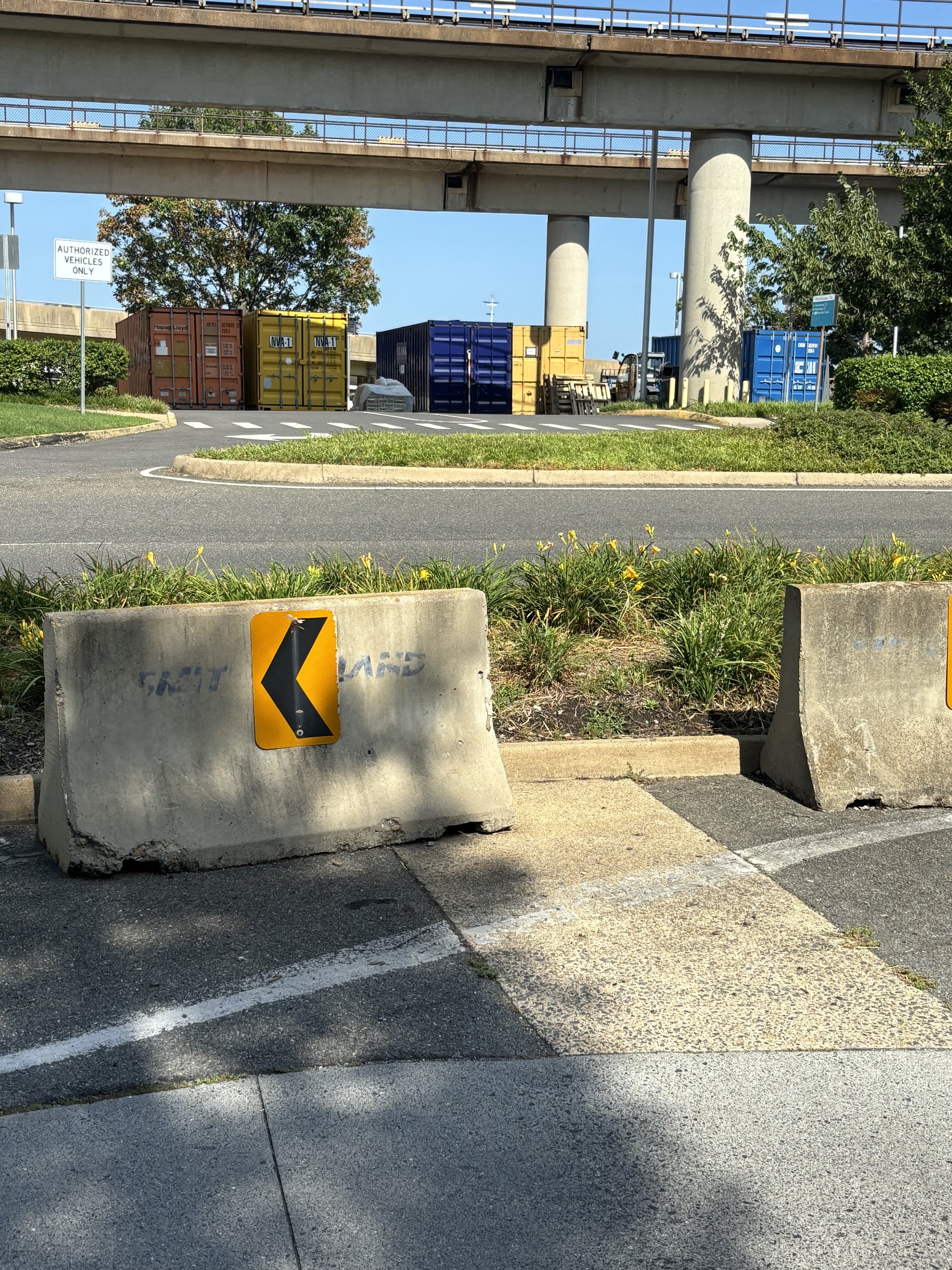 IMG_1139.jpeg