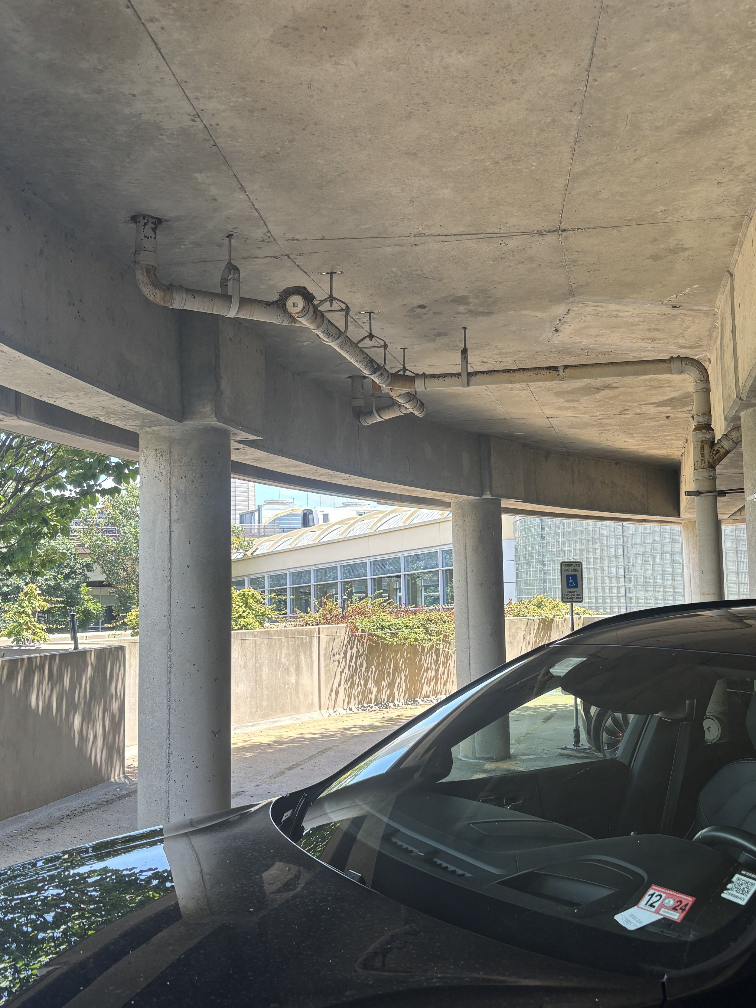 MORE PIPES AND NOT SPRINKLERS