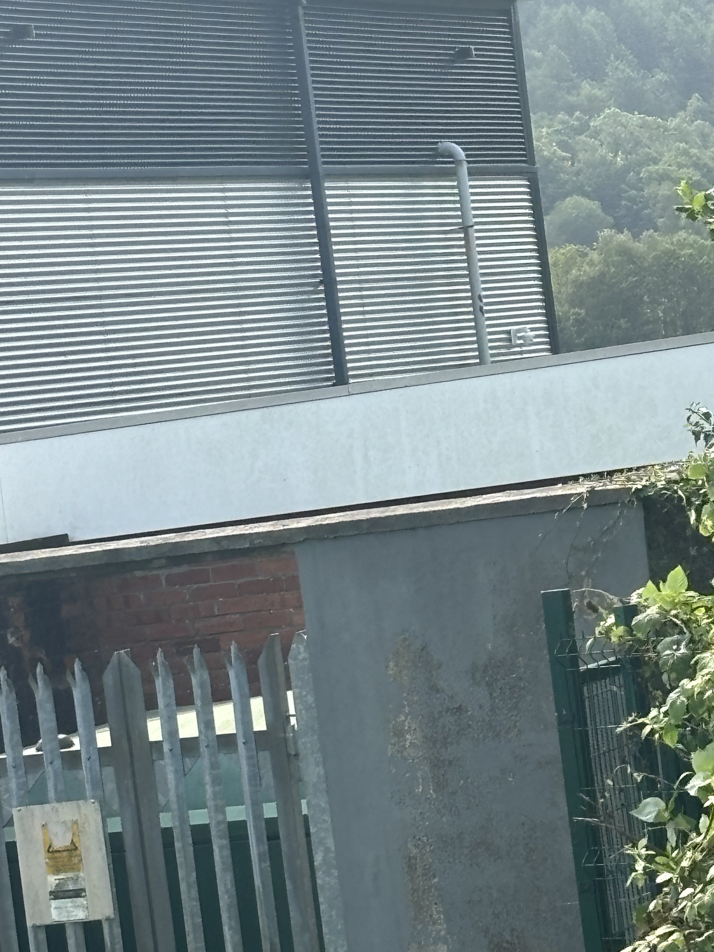 IMG_2180.jpeg