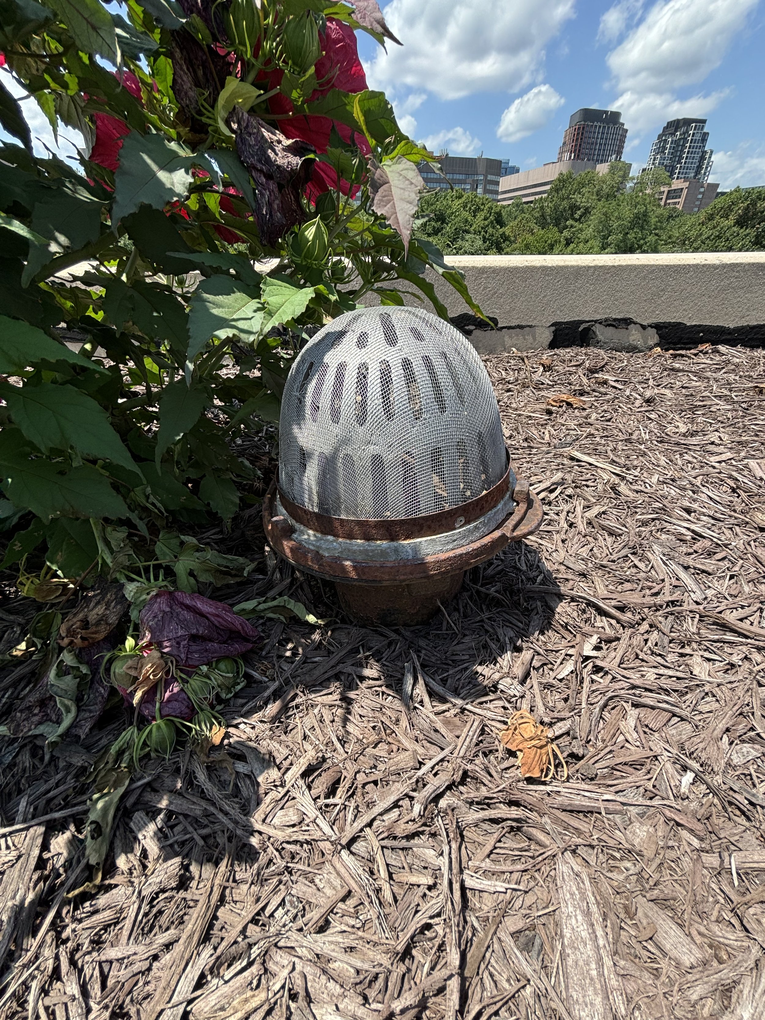 ON THE ROOF CAR PARK THERE ARE MANY OF THESE RUSTY CONES WHICH COULD BE AS VENTILATION FOR CONDENSATION OR SMOKE FROM A FURNACE