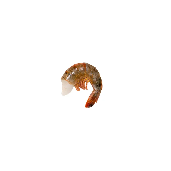 shrimp外.jpg