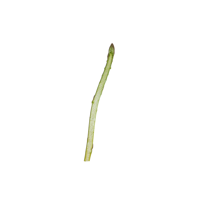 asparagus.jpg