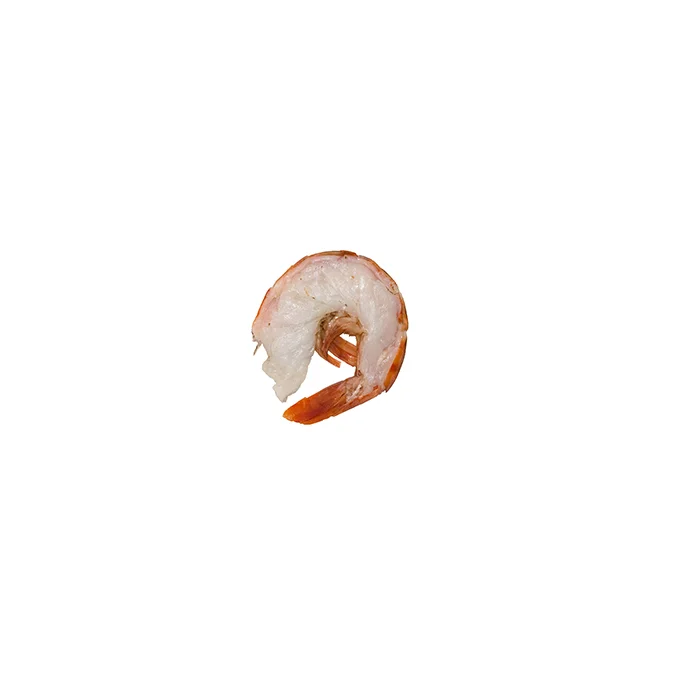 shrimp.jpg