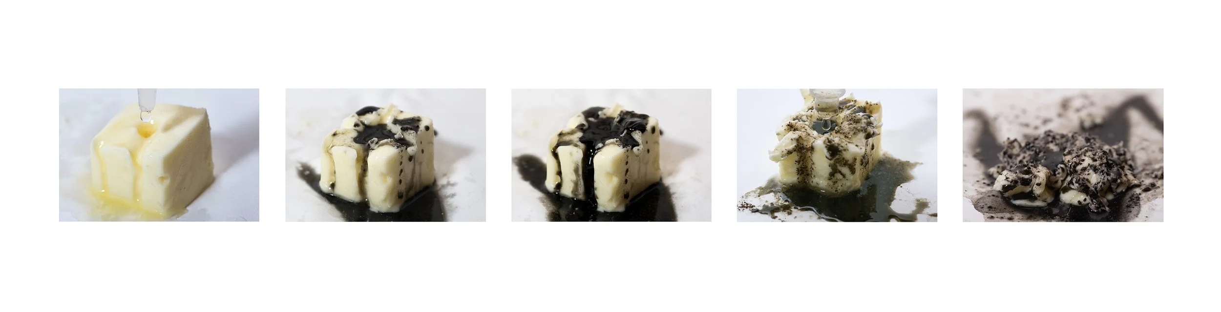 Transforming- Life Experiment Statement