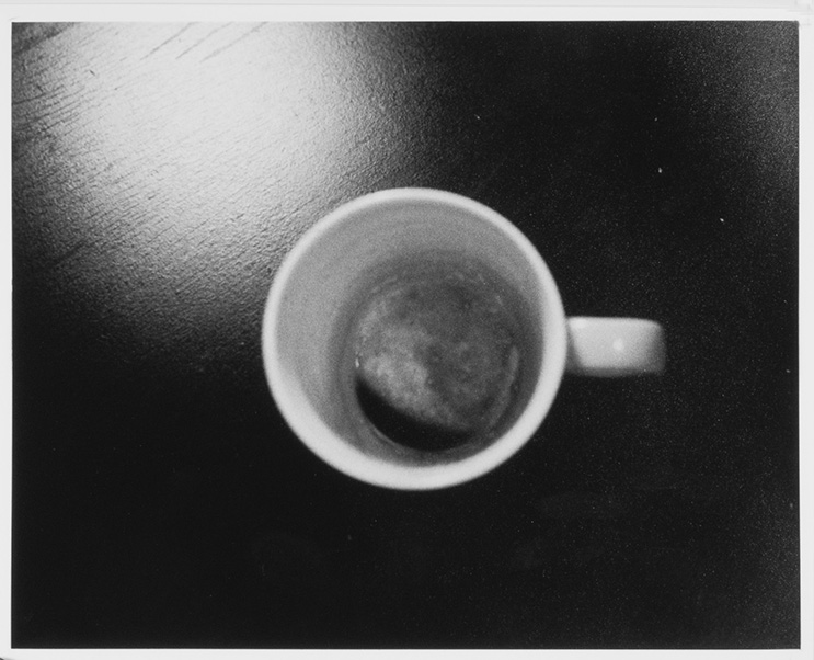 You have nothing to lose