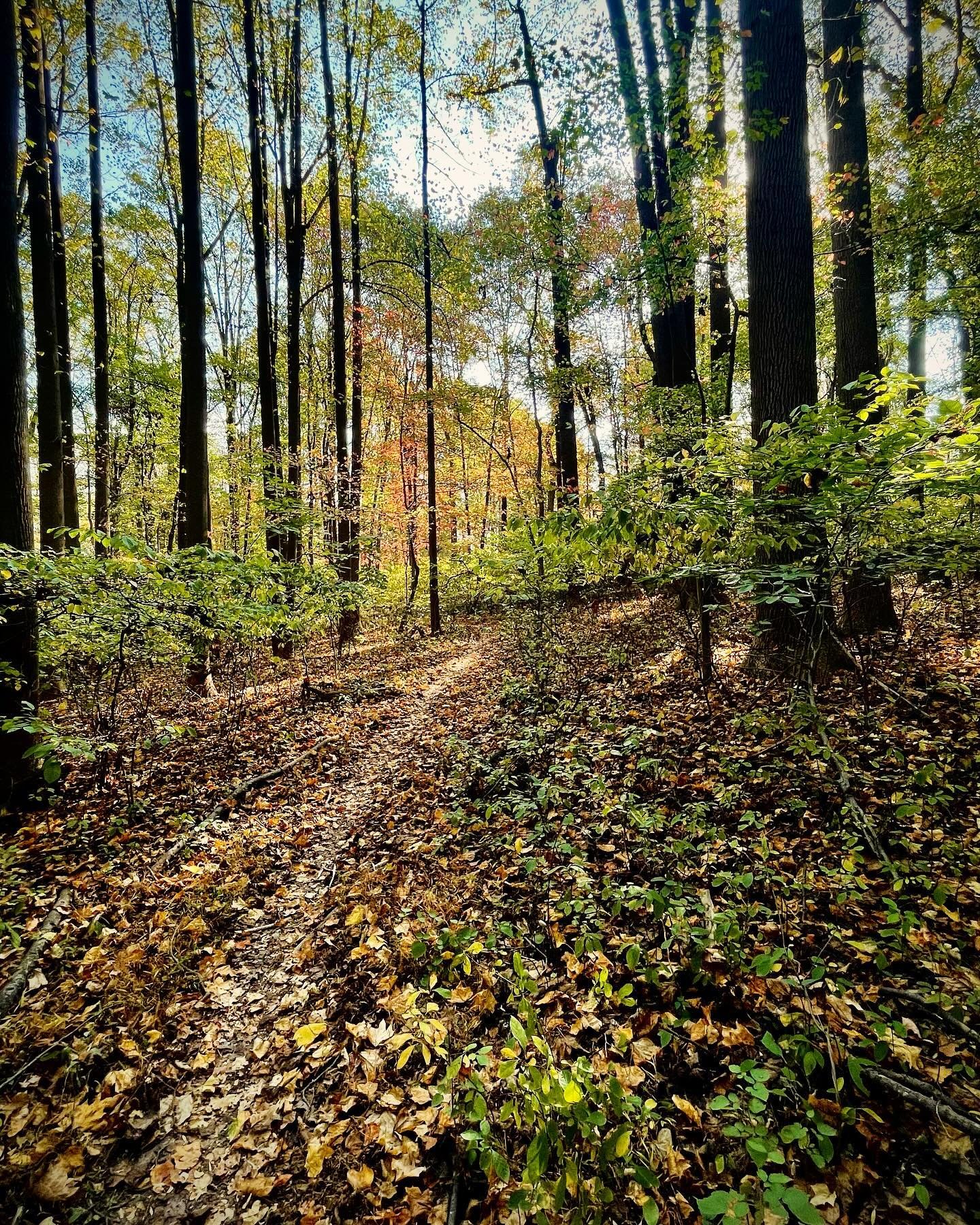 It would be nice to have some rain, but until then enjoy the fall colors that are popping in the DELCO area. #DELCOgreen #FallColors