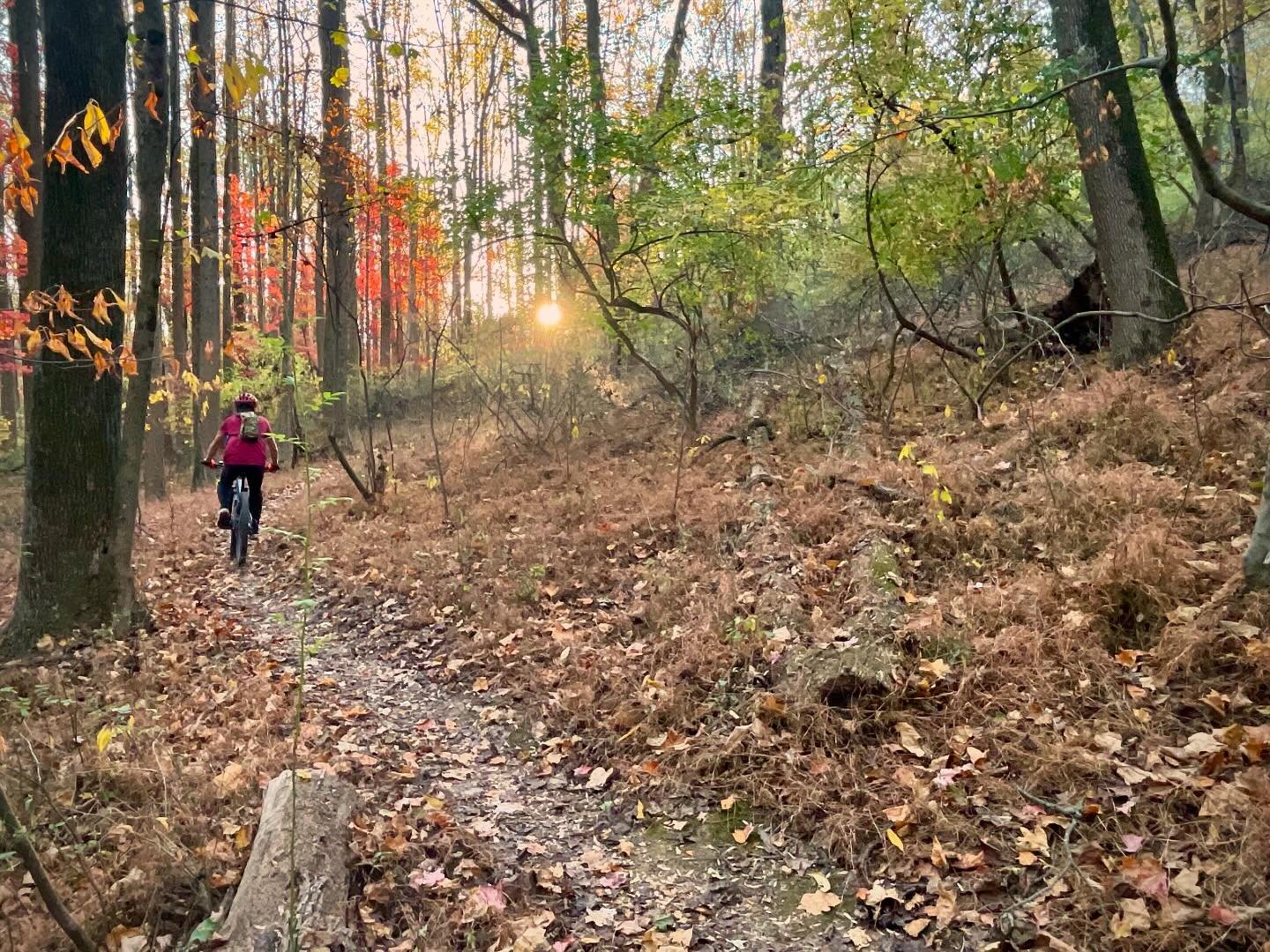 Morning lap finished up with an evening lap, while it does not feel like fall, sure looks like it. #DELCOgreen
