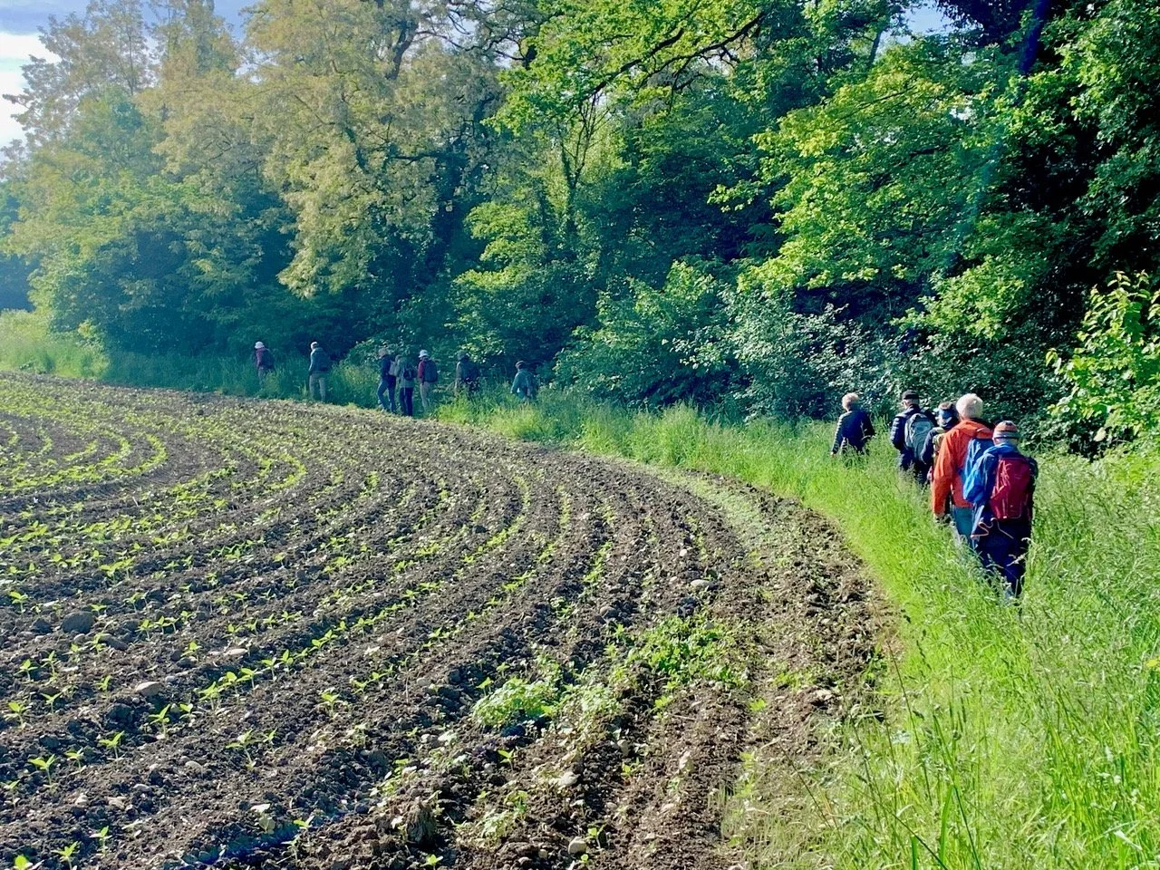 Fore╠ét riveraine de La Laire, Andre╠ü .jpeg
