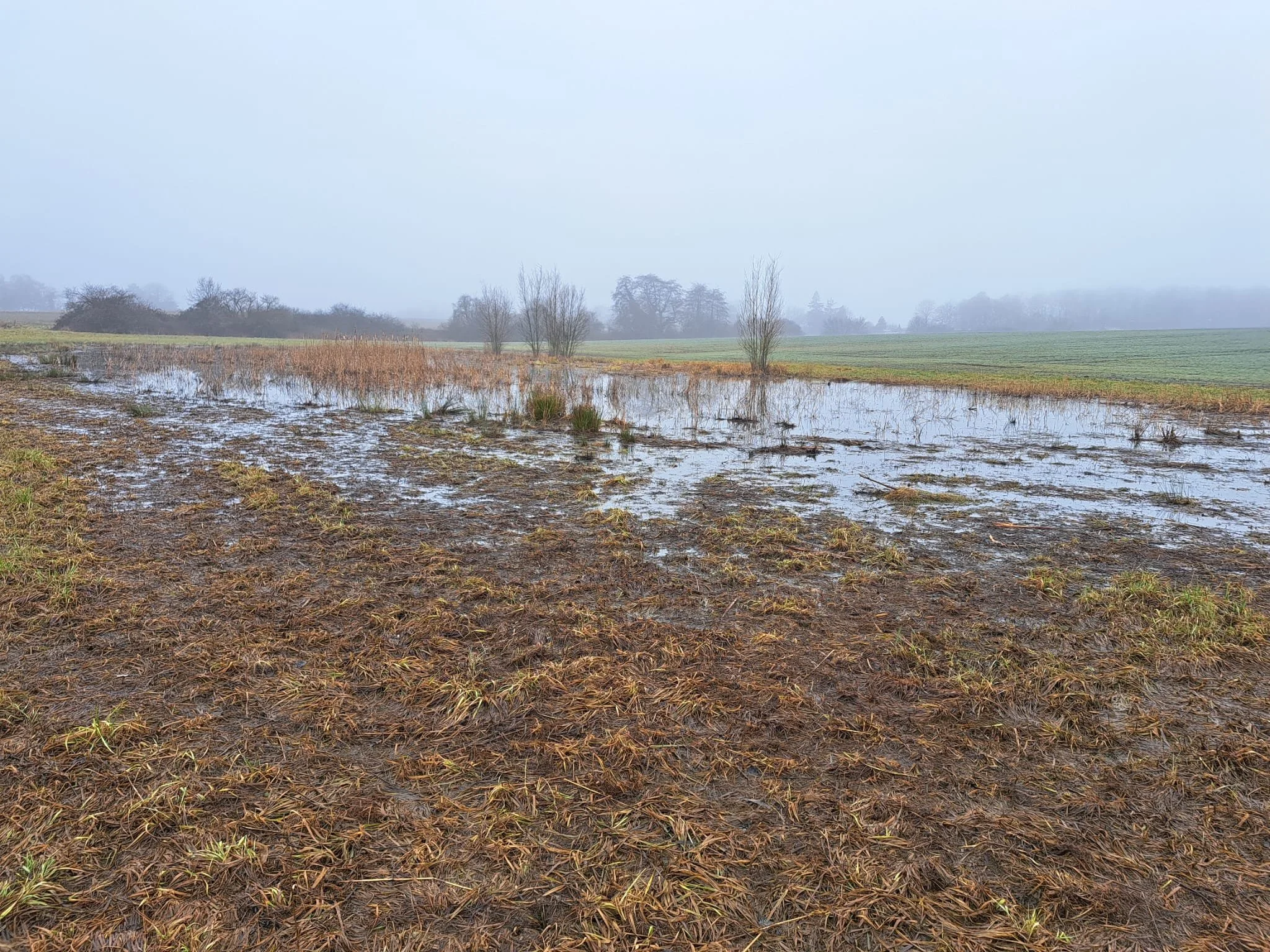 Projet conjoint pour espèces variées