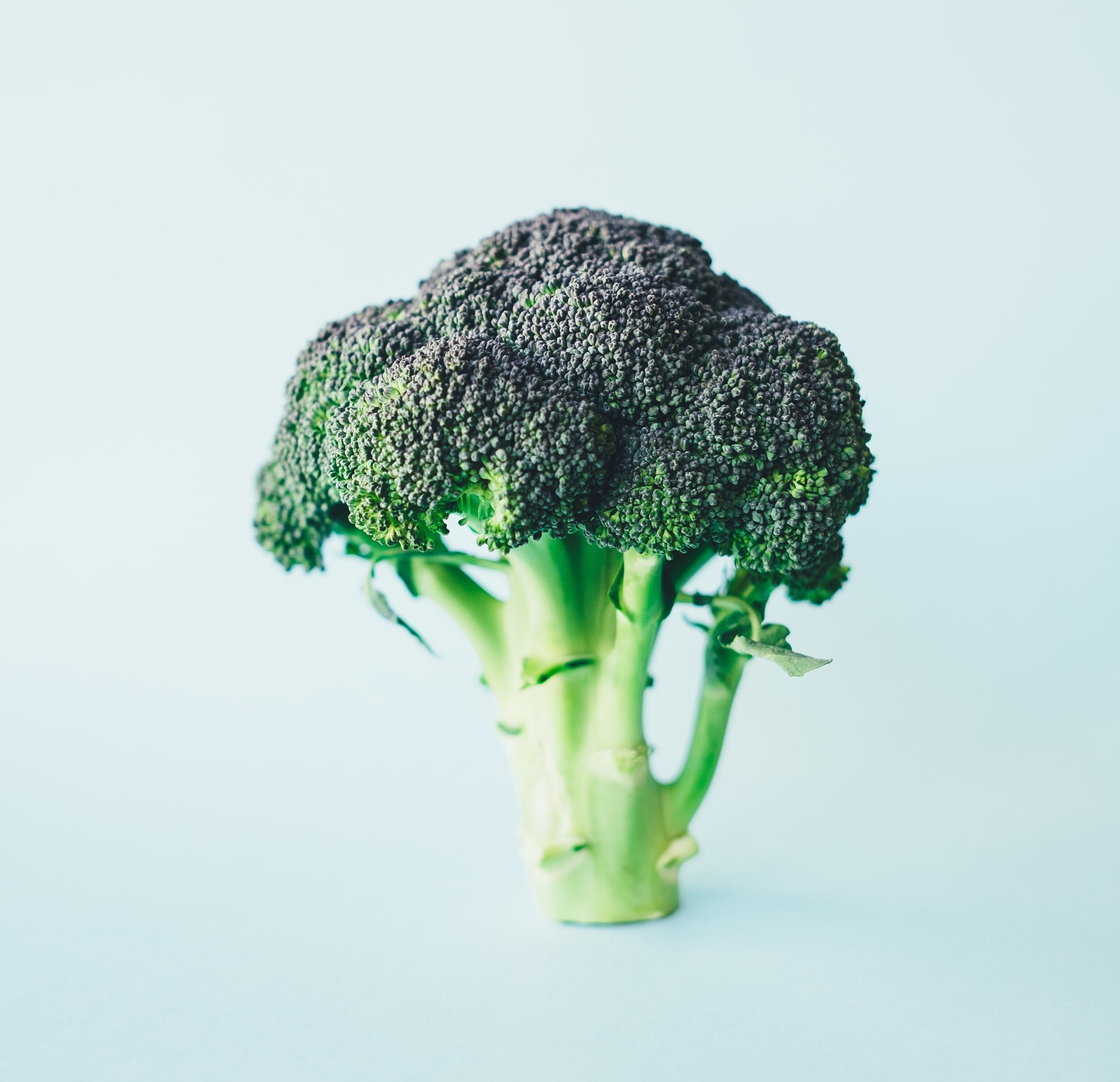 Comparing the Quality of Protein: Broccoli versus Chicken