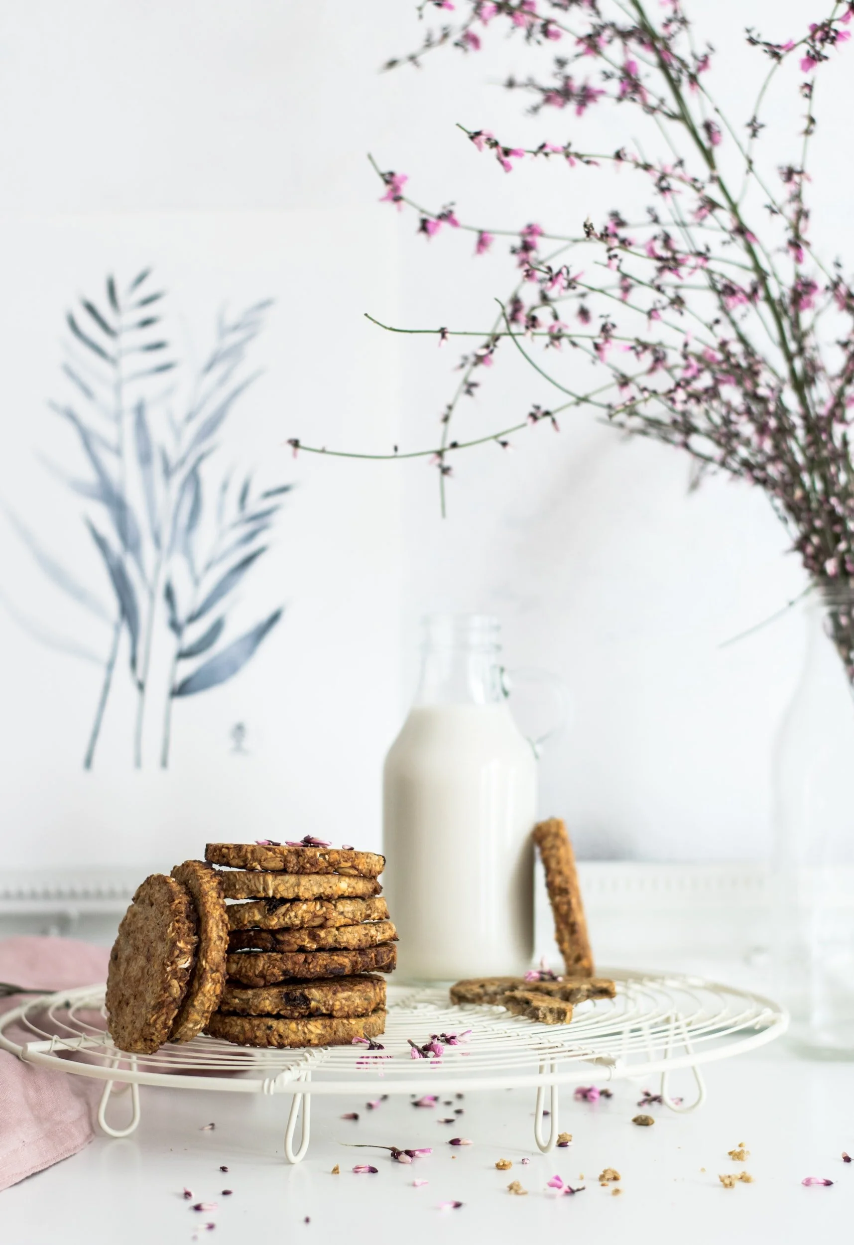 Wholesome Oatmeal Banana Breakfast Cookies
