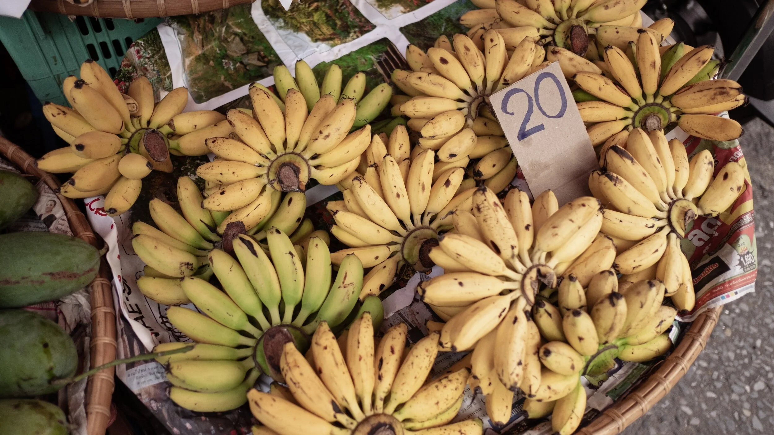 The Power of Potassium: A Key Player in Your Body's Biochemical Symphony