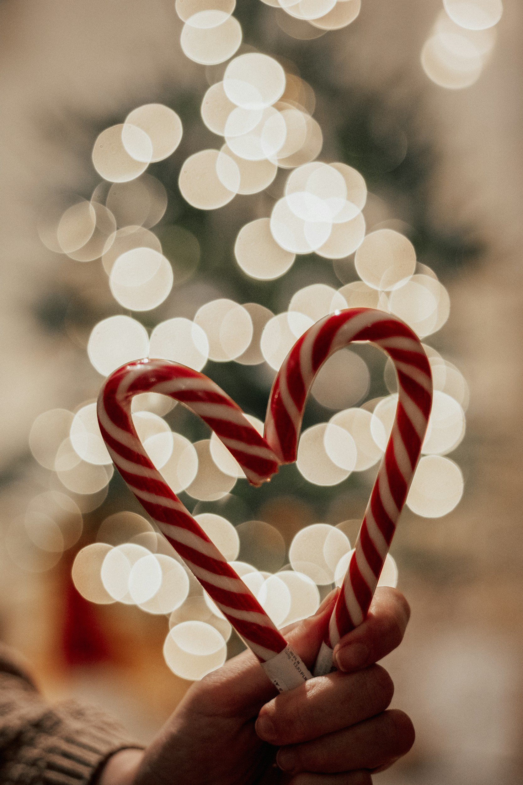 Self-Compassion During the Holidays