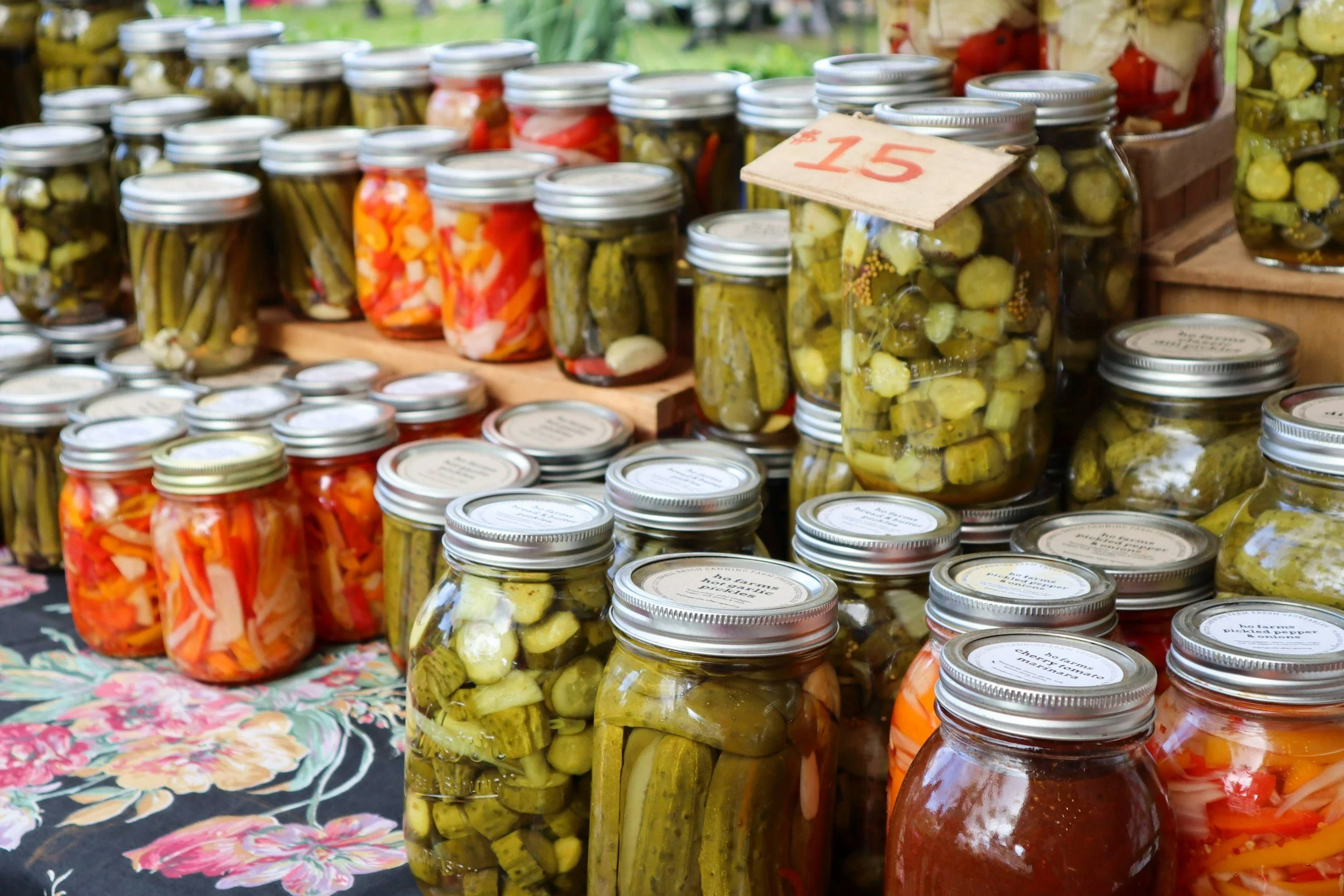 Fermented Foods vs. Supplements: What’s Best for Your Gut?