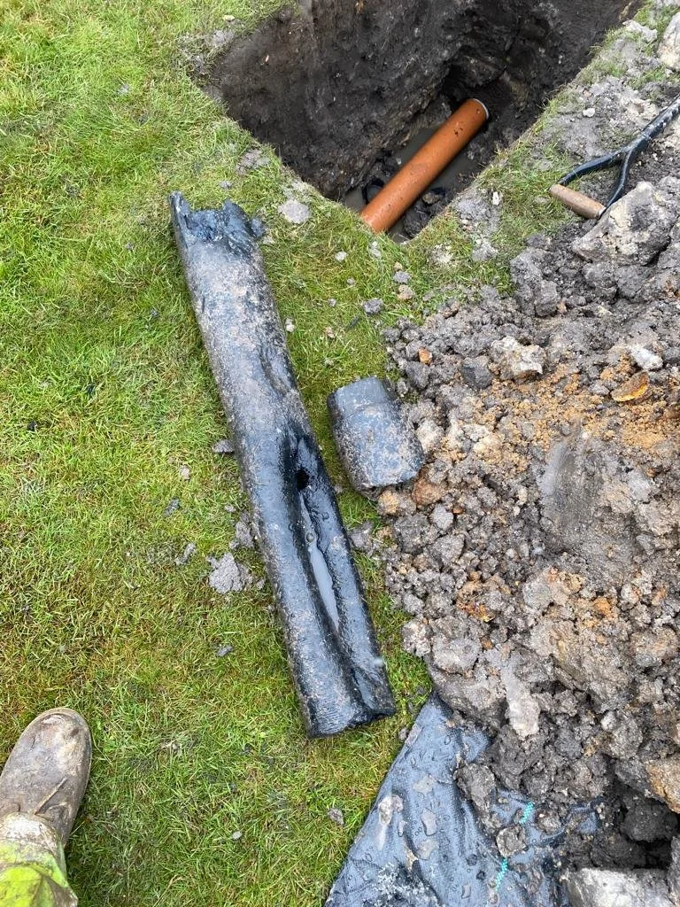 PHOTO-2022-04-27-10-10-49 2.jpg