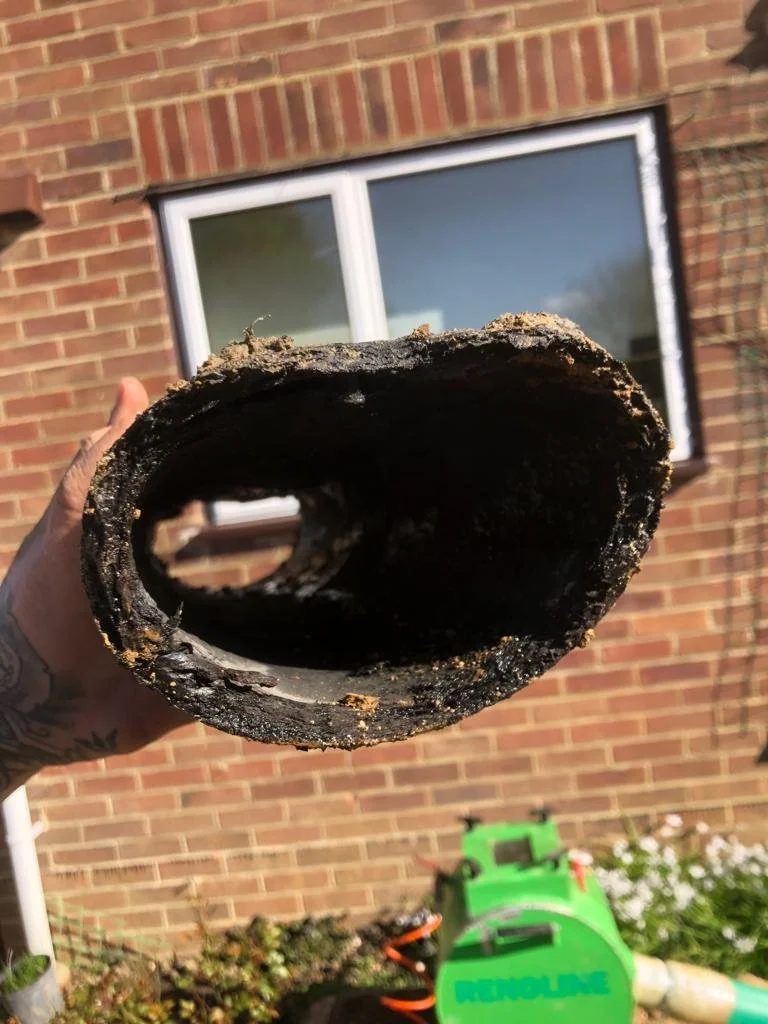 PHOTO-2022-04-27-09-54-18 2.jpg