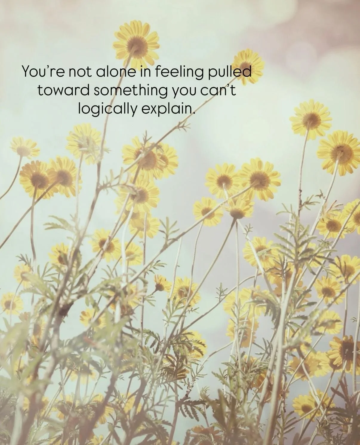 ...and you don&rsquo;t have to figure it out by yourself either.⁠
⁠
This is exactly why I created my community... ⁠
⁠
a space where you can hear your intuition more clearly, feel supported, and actually move through what you&rsquo;re in.⁠
⁠
comment &