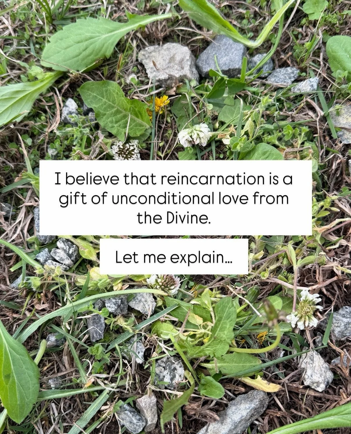 I&rsquo;ll never forget that comment my son made about the Titanic. 👀⁠
⁠
If you want to try out a regression for FREE, comment &ldquo;JOURNEY&rdquo; and I&rsquo;ll send one to your email...⁠
⁠
... but if you&rsquo;re ready to take the plunge to go m