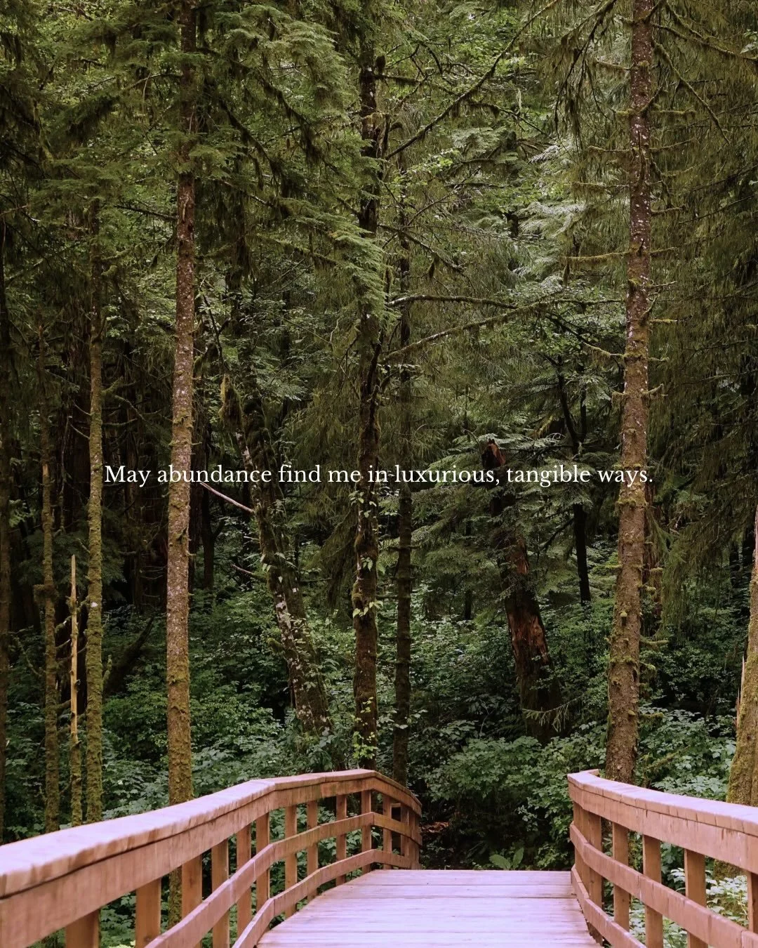 My Taurus season prayers 🙏🪴✨️♉️⁠
⁠
As a Taurus Sun myself, I am so ready for this energy. What are your Taurus season prayers?