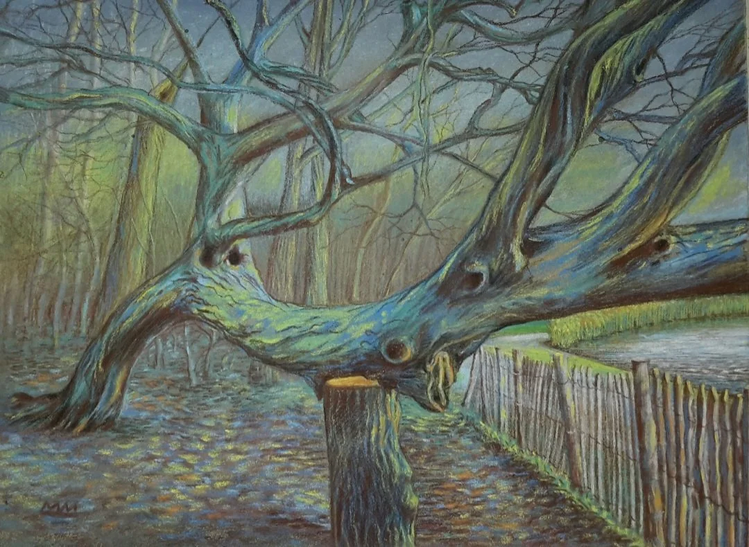 De blauwe haagbeuk (pastel op papier) 30/40 