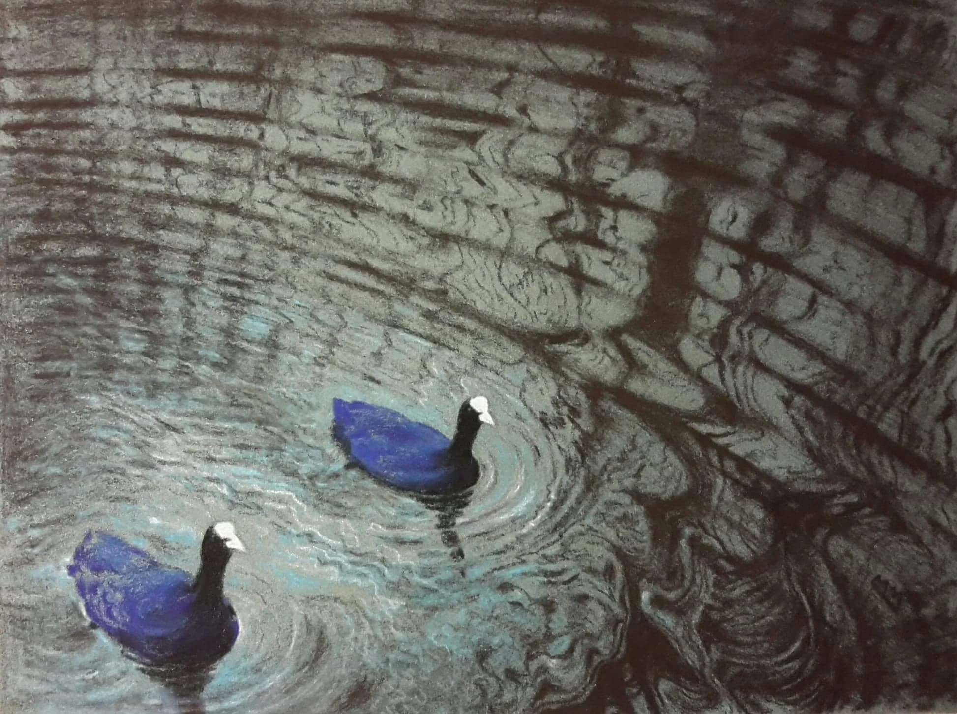 Meerkoeten op de vijver..Maria-Hendrikapark oostende.(pastel op papier) 30/40

