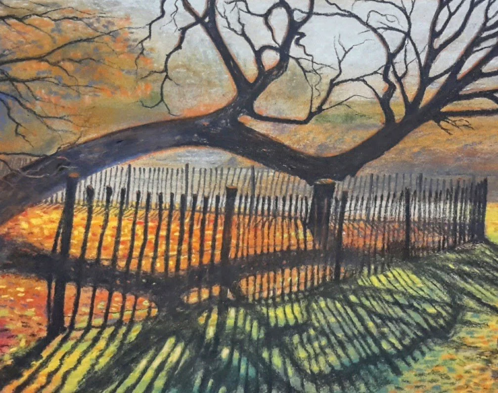 Haagbeuk met zijn schaduw. (Pastel op papier) 30/40