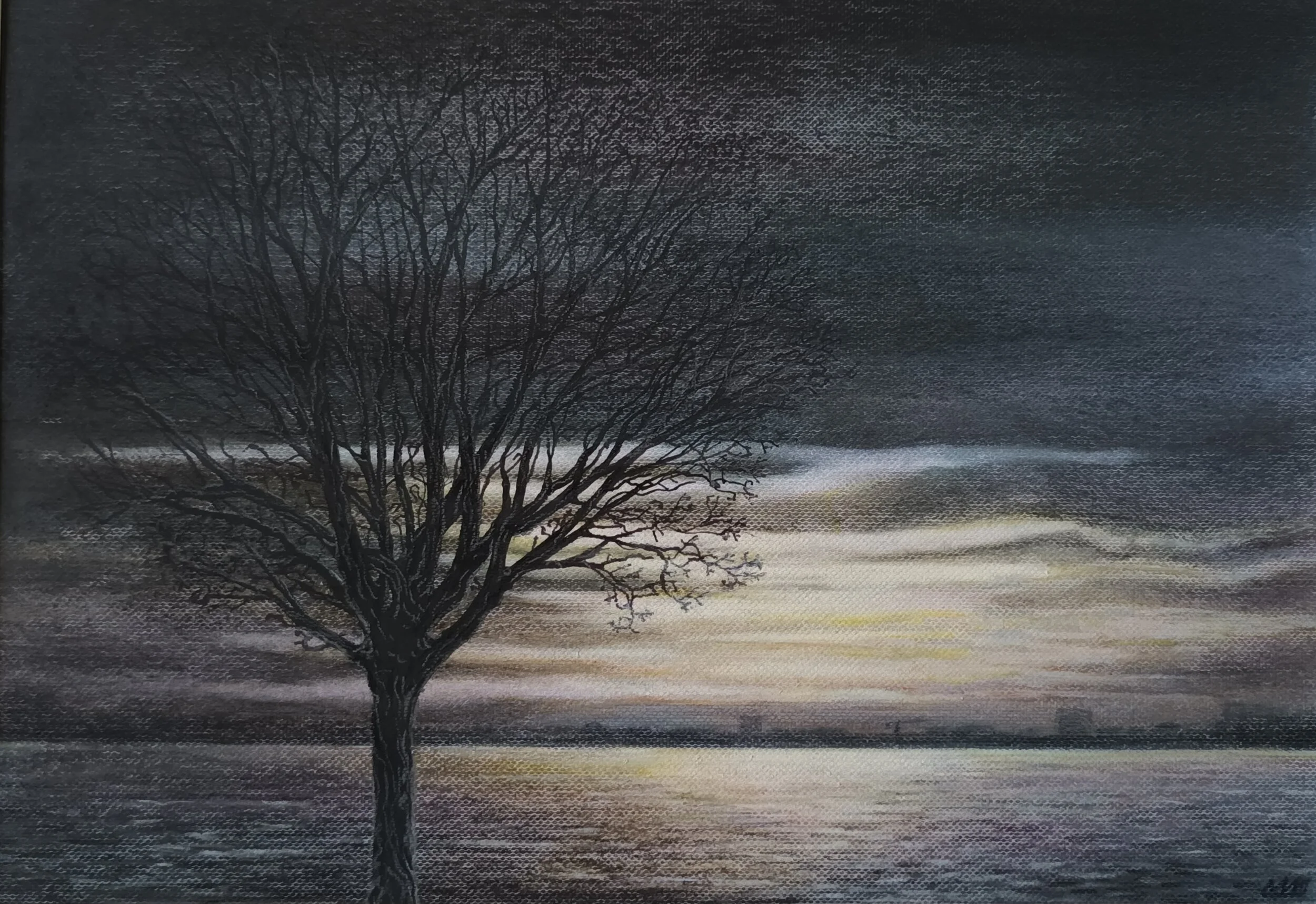 Boom bij de spuikom oostende (pastel op papier) 30/40