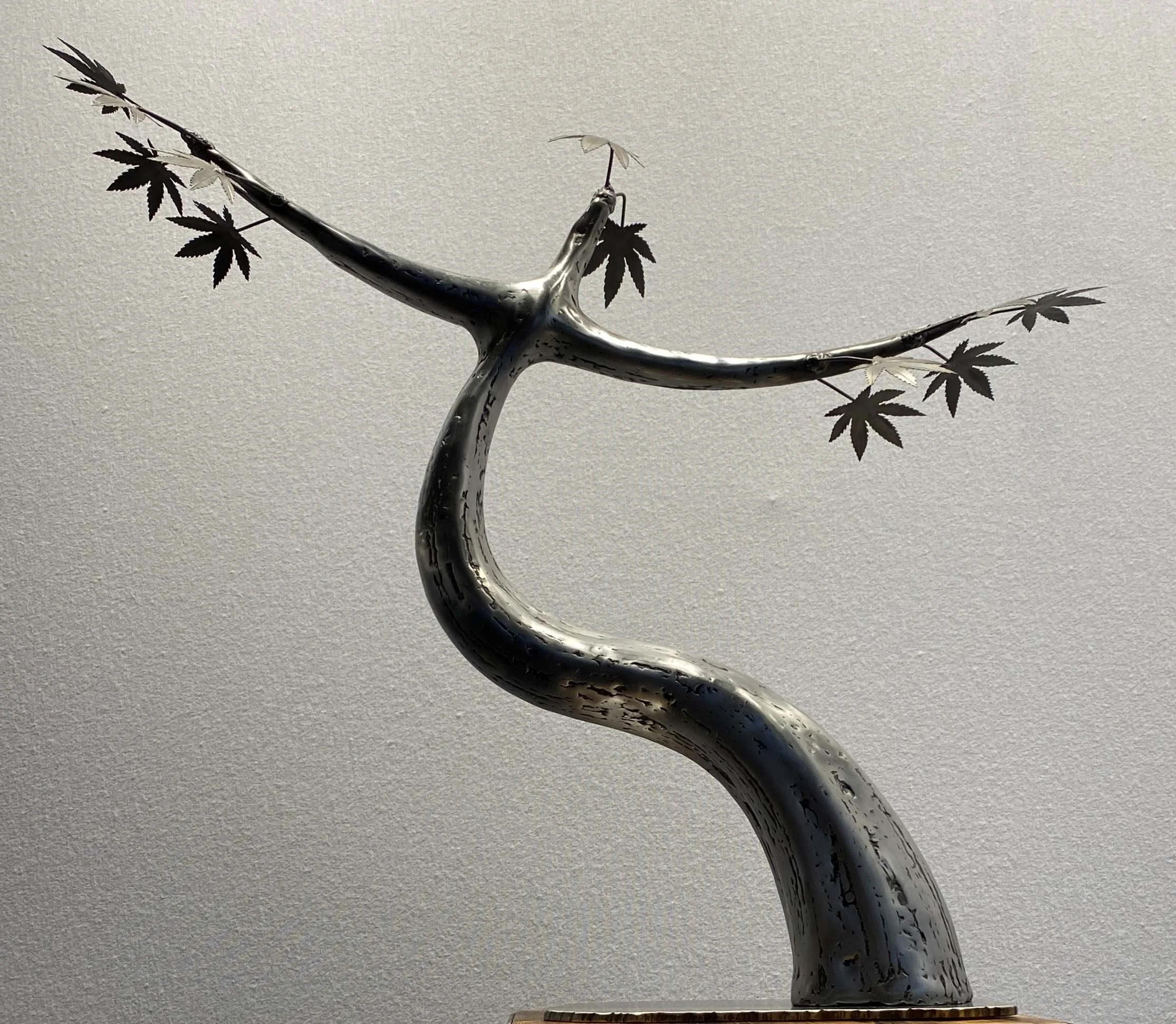 'Bonsai le danseur' -  gevormd staal, gelast, gepolijst en in de was gezet - 99 x 67 cm - 17 kg - 2023