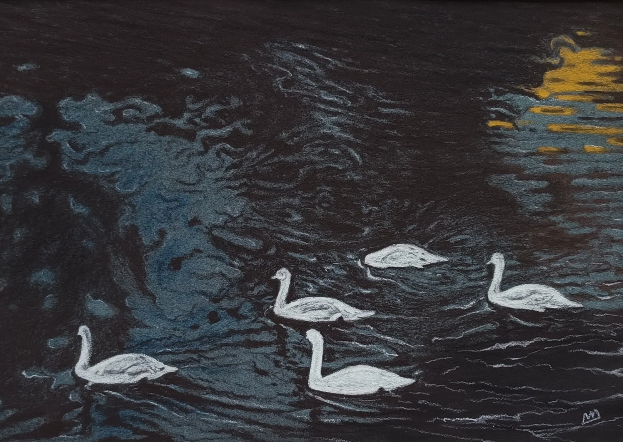 Jonge zwanen (pastel op papier) 30/40