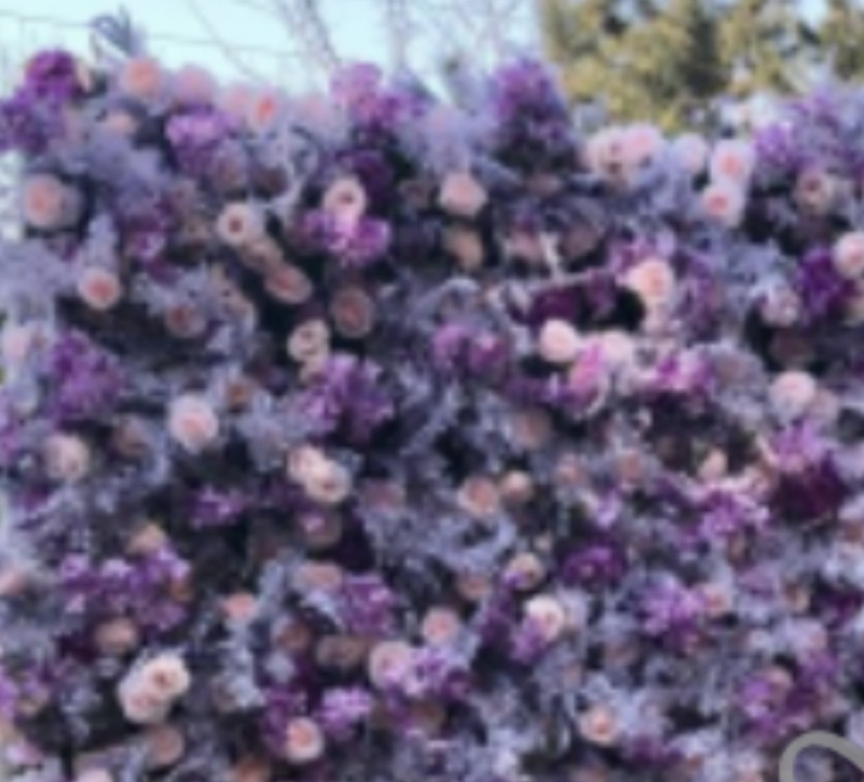 76D8C058-8B8A-4293-966D-F834B34DBB96.jpeg