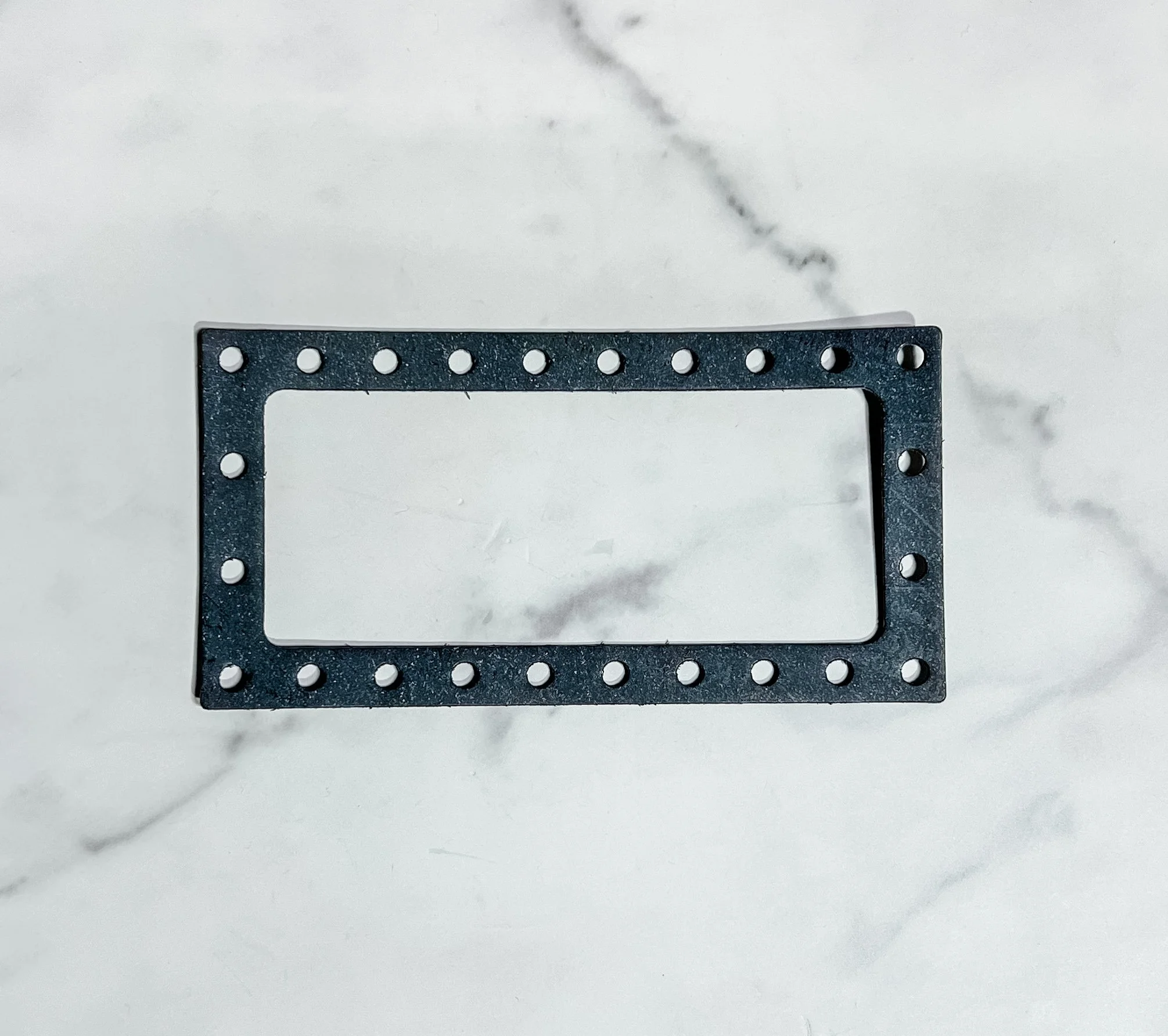 BURST PANEL GASKET.JPG