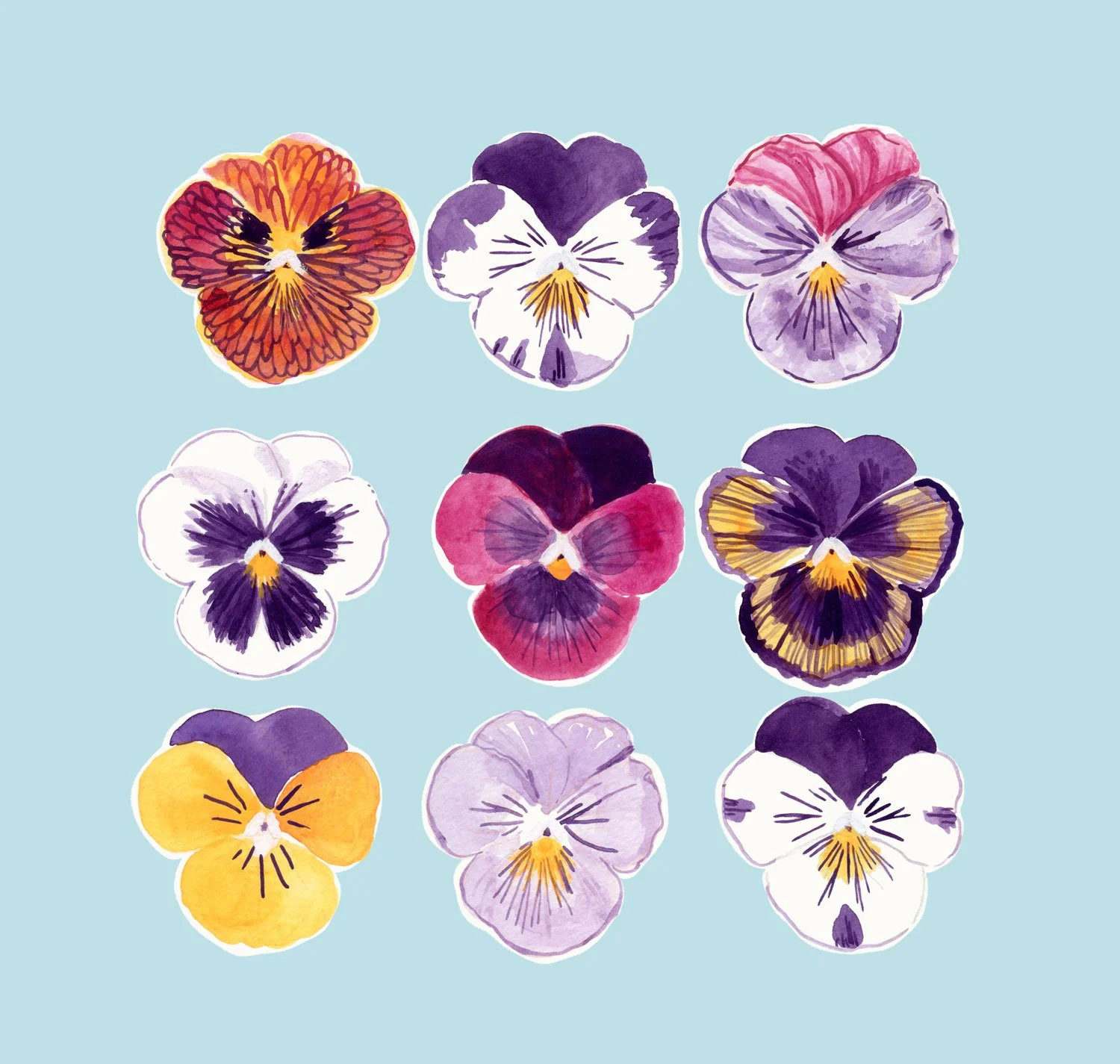 A Collection of Pansies Illustration by Alanna Cartier