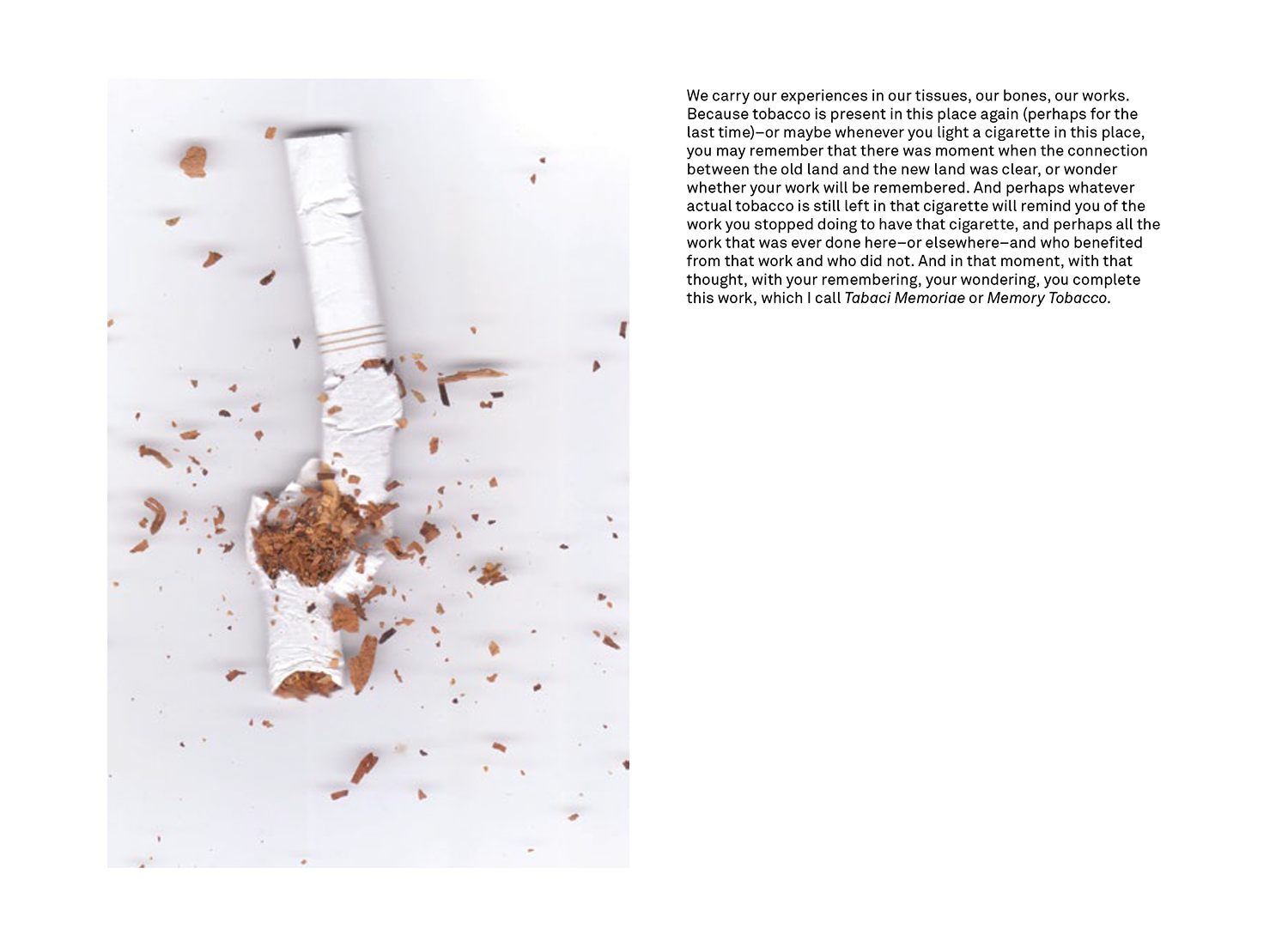 2017-0624-Tabaci-Booklet-Screen-LR (1)-p08.png