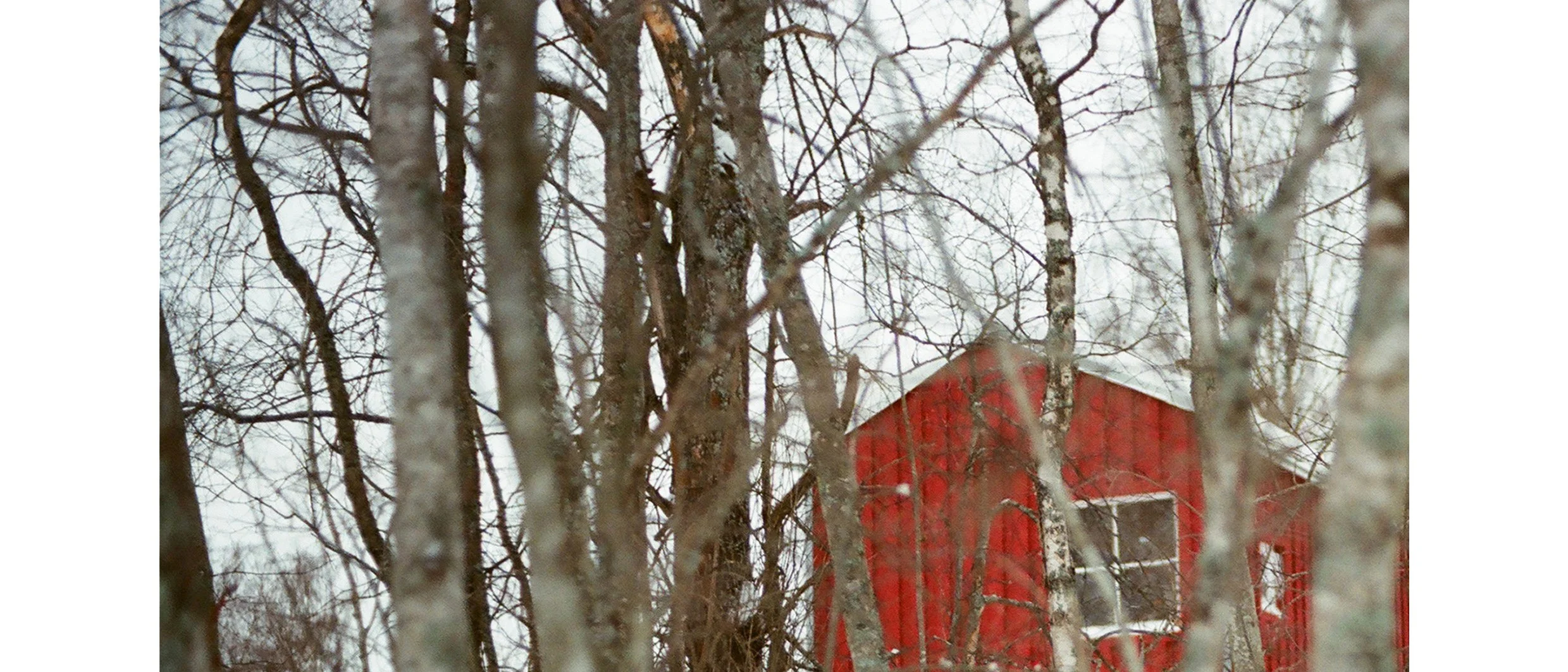 Red house