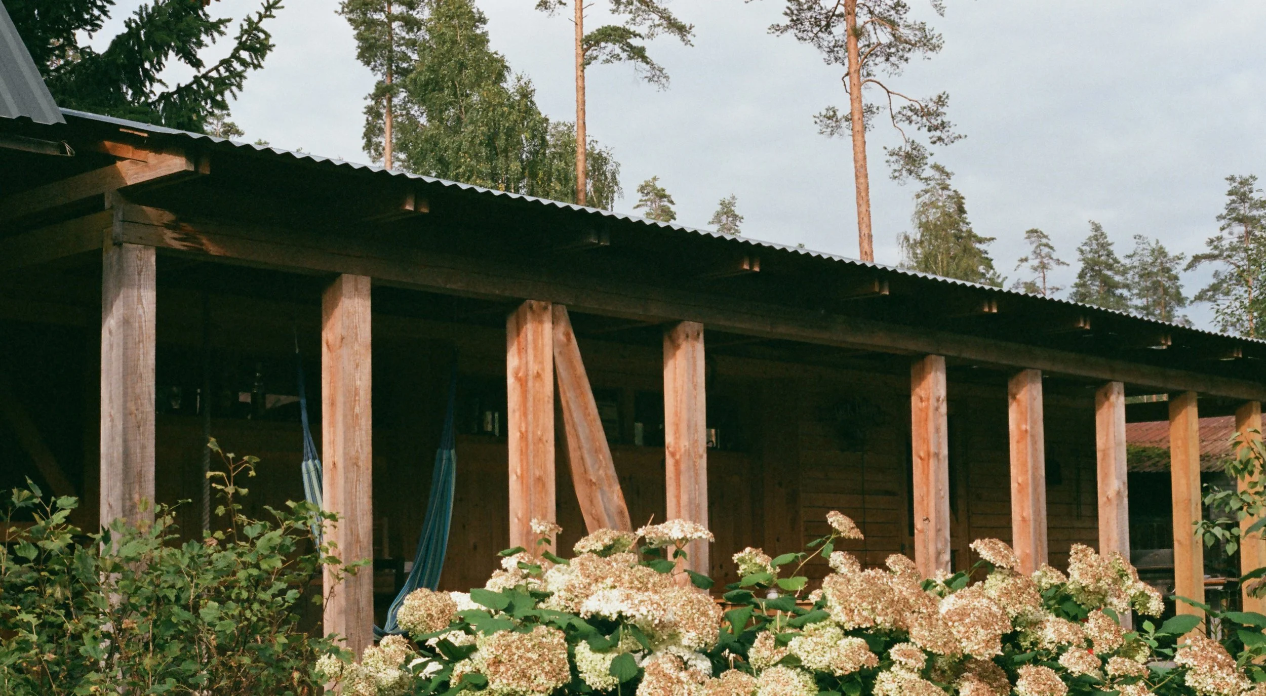petajarvi_photo.jpg